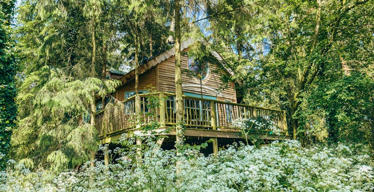 West Lexham Treehouses