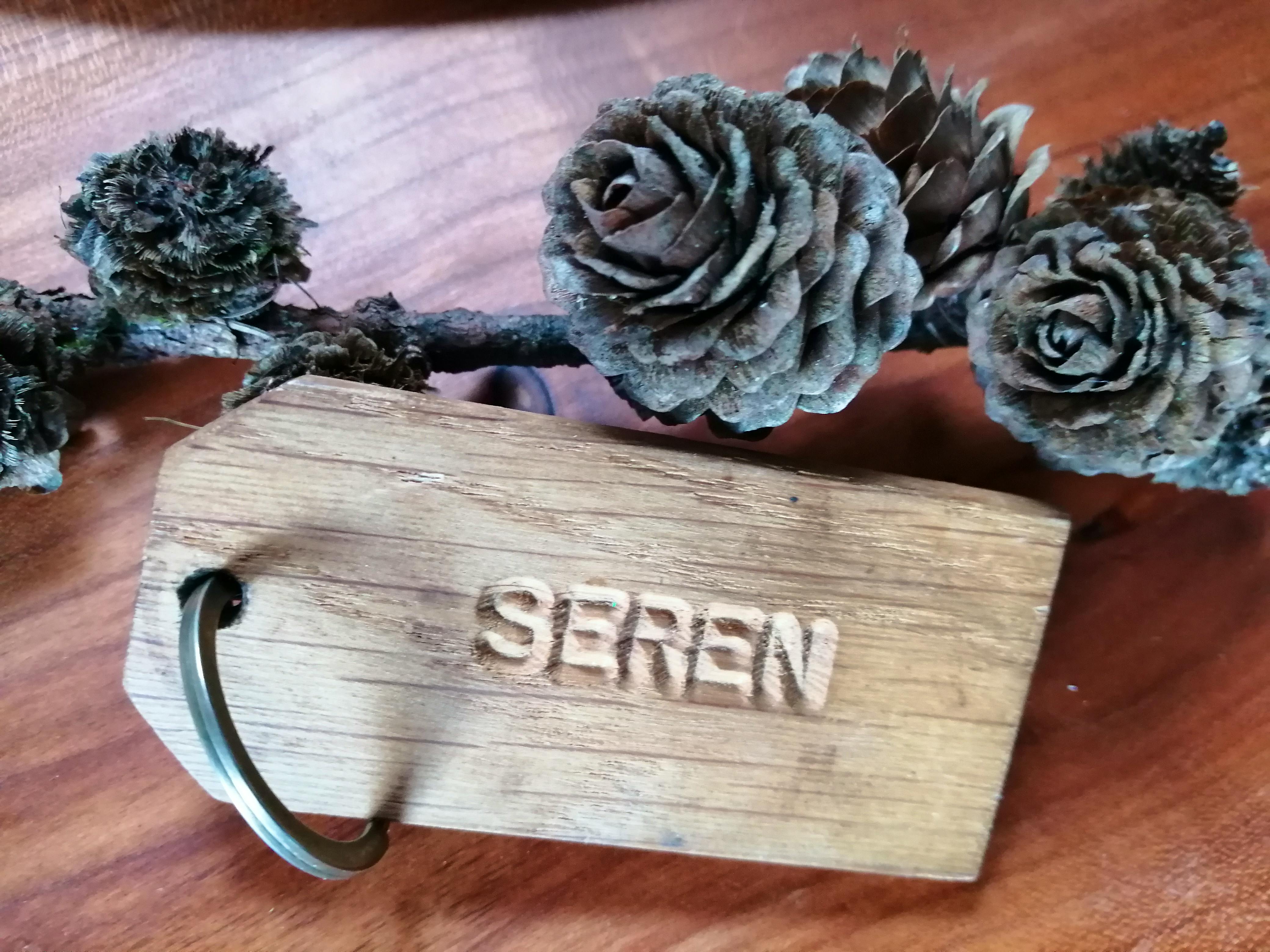 Seren Cosy studio in the Wye Valley Seren Cosy studio in the Wye Valley