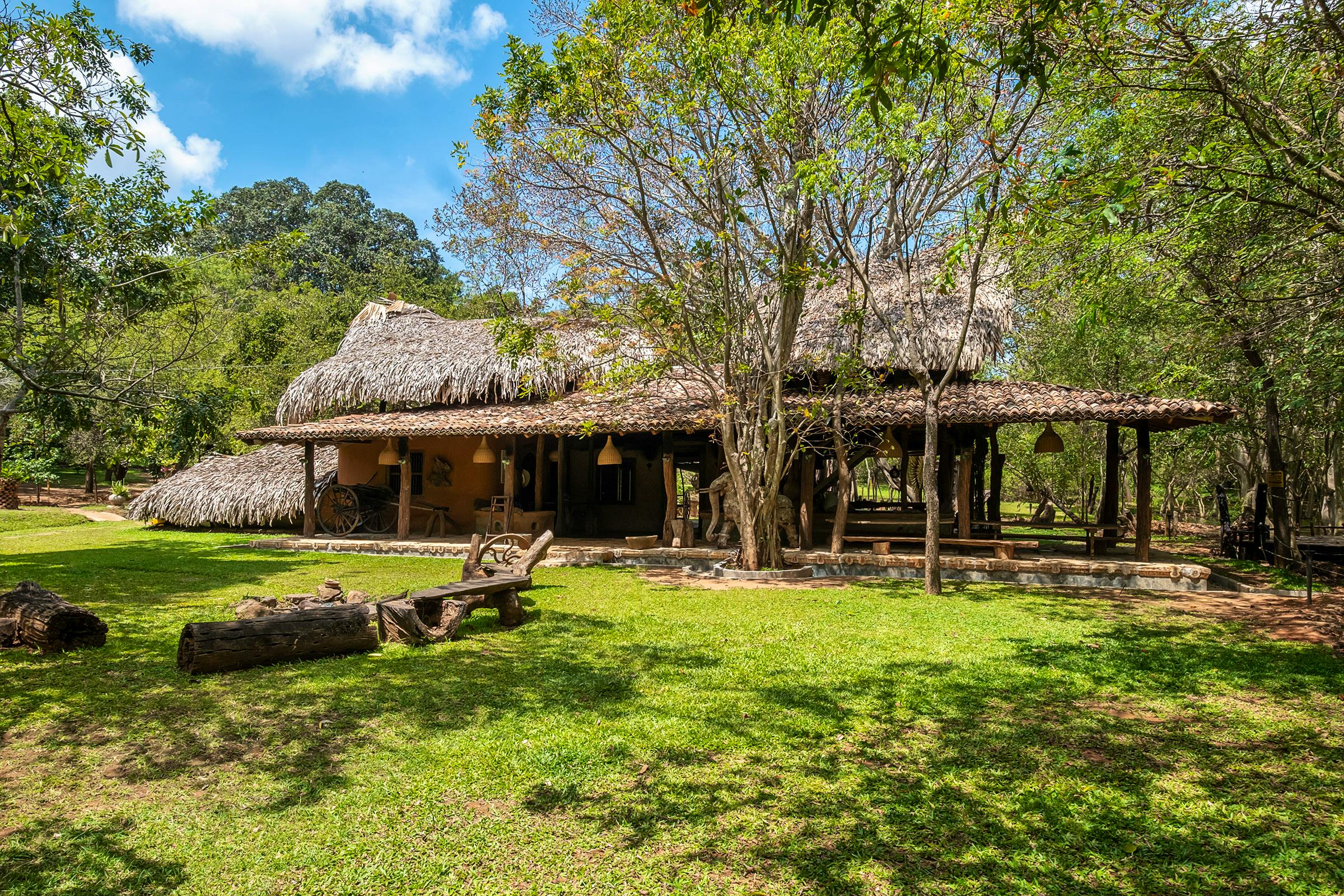 Banyan Camp - Banyan Lodge