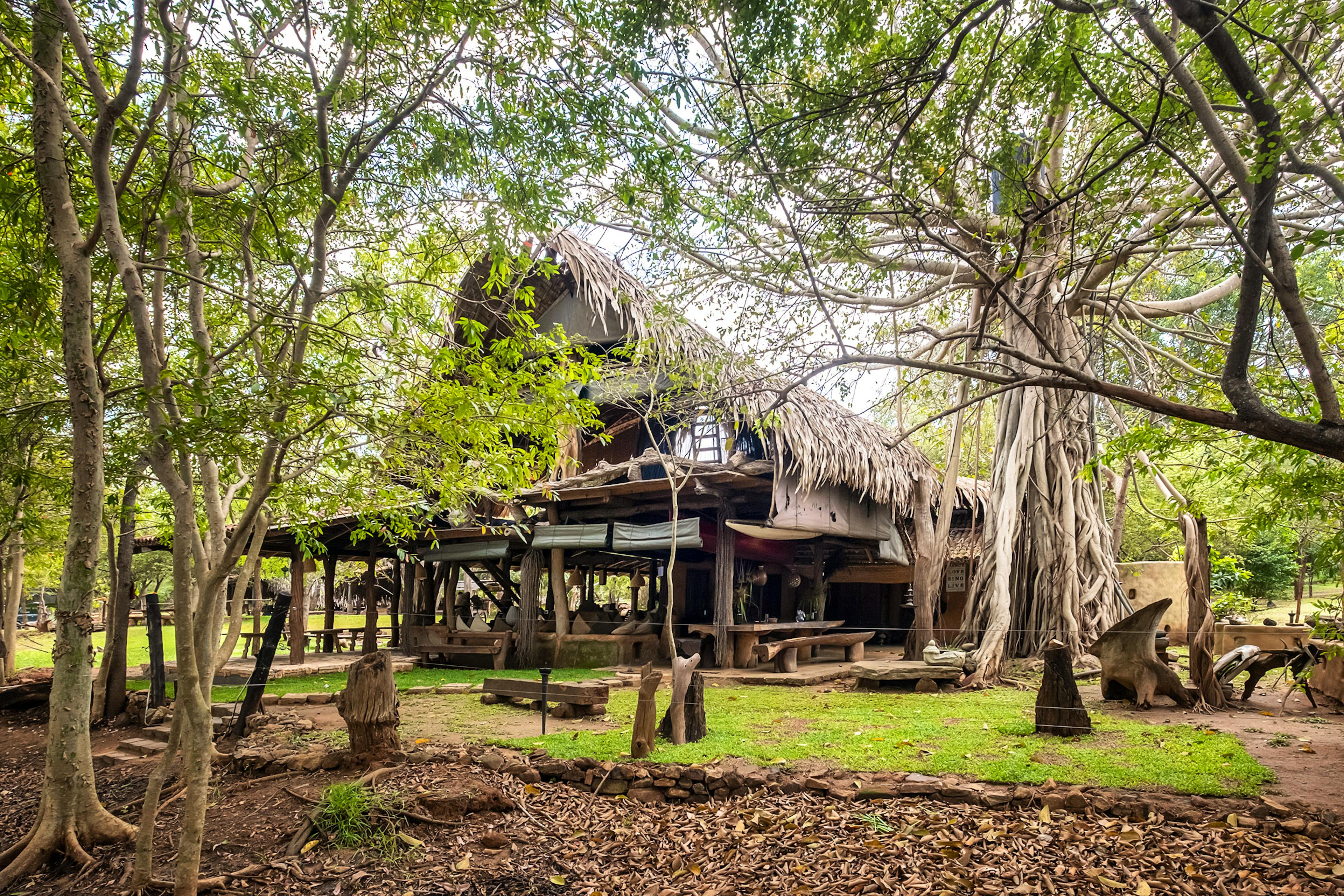 Banyan Camp - Image 5