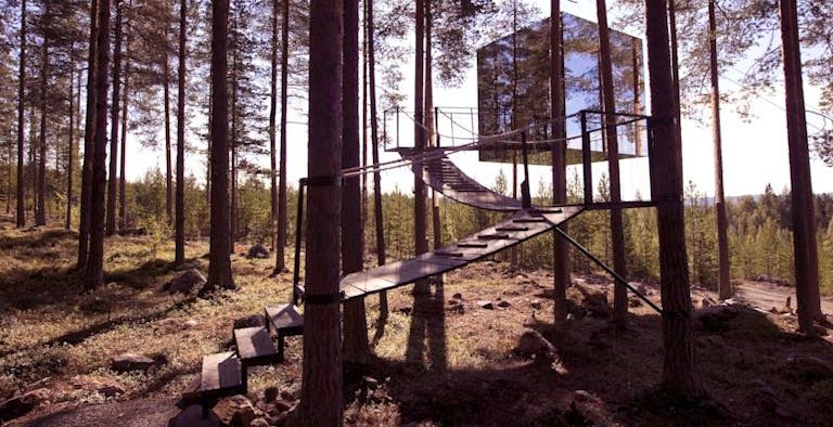 Tree Hotel