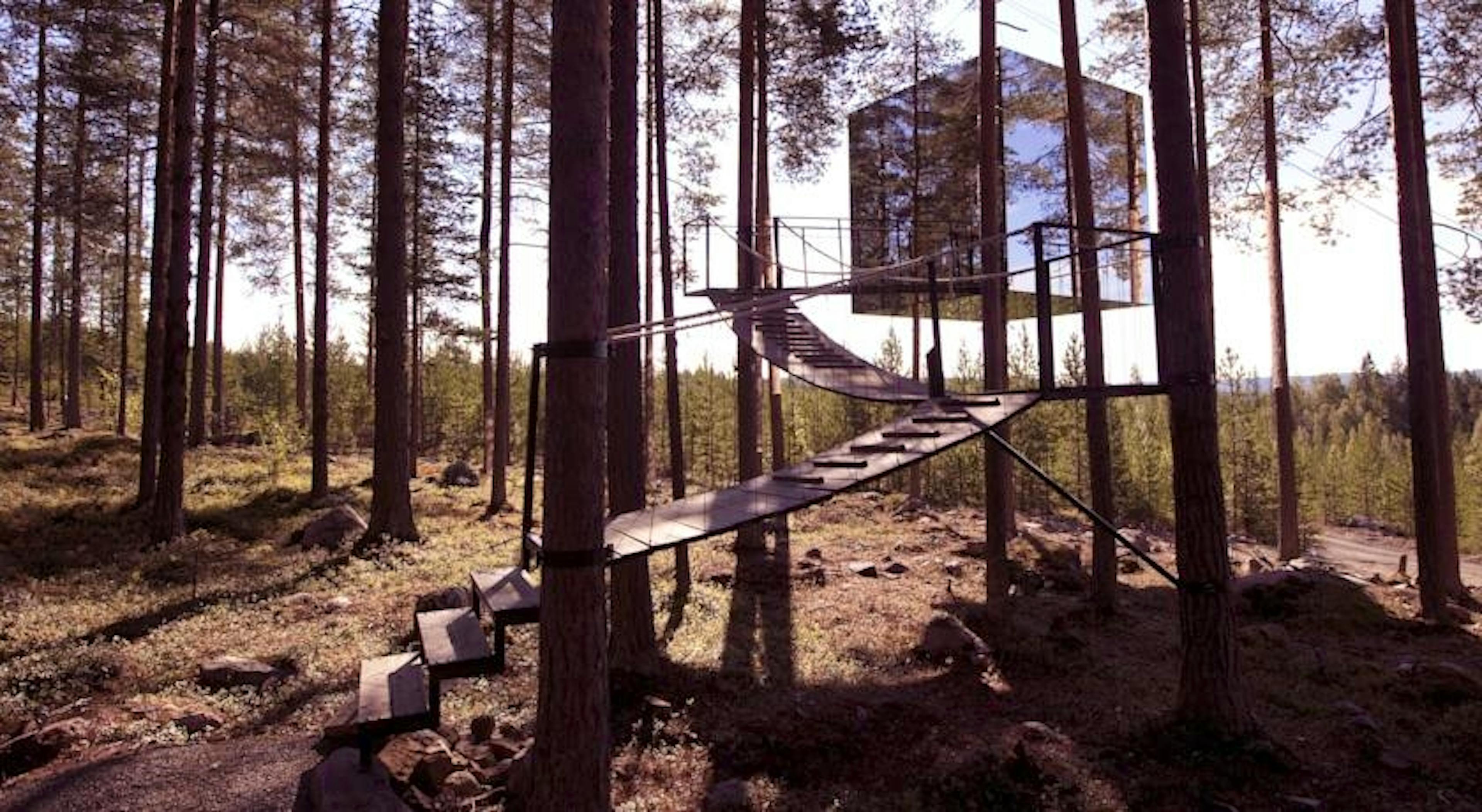 Tree Hotel - Image 1