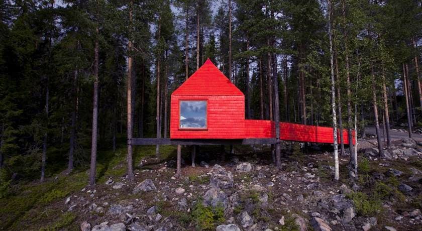 Tree Hotel - Image 6