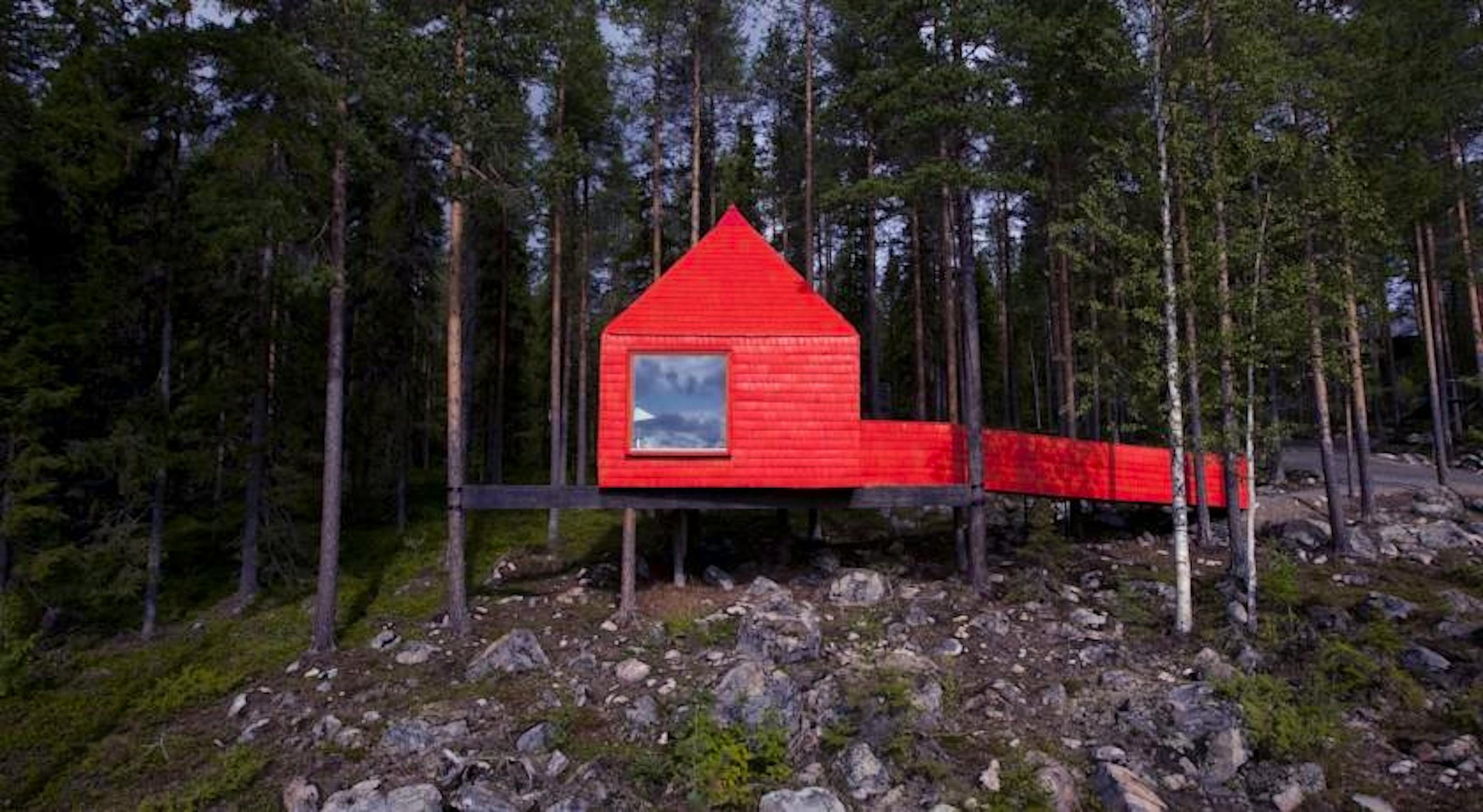 Tree Hotel - Image 6