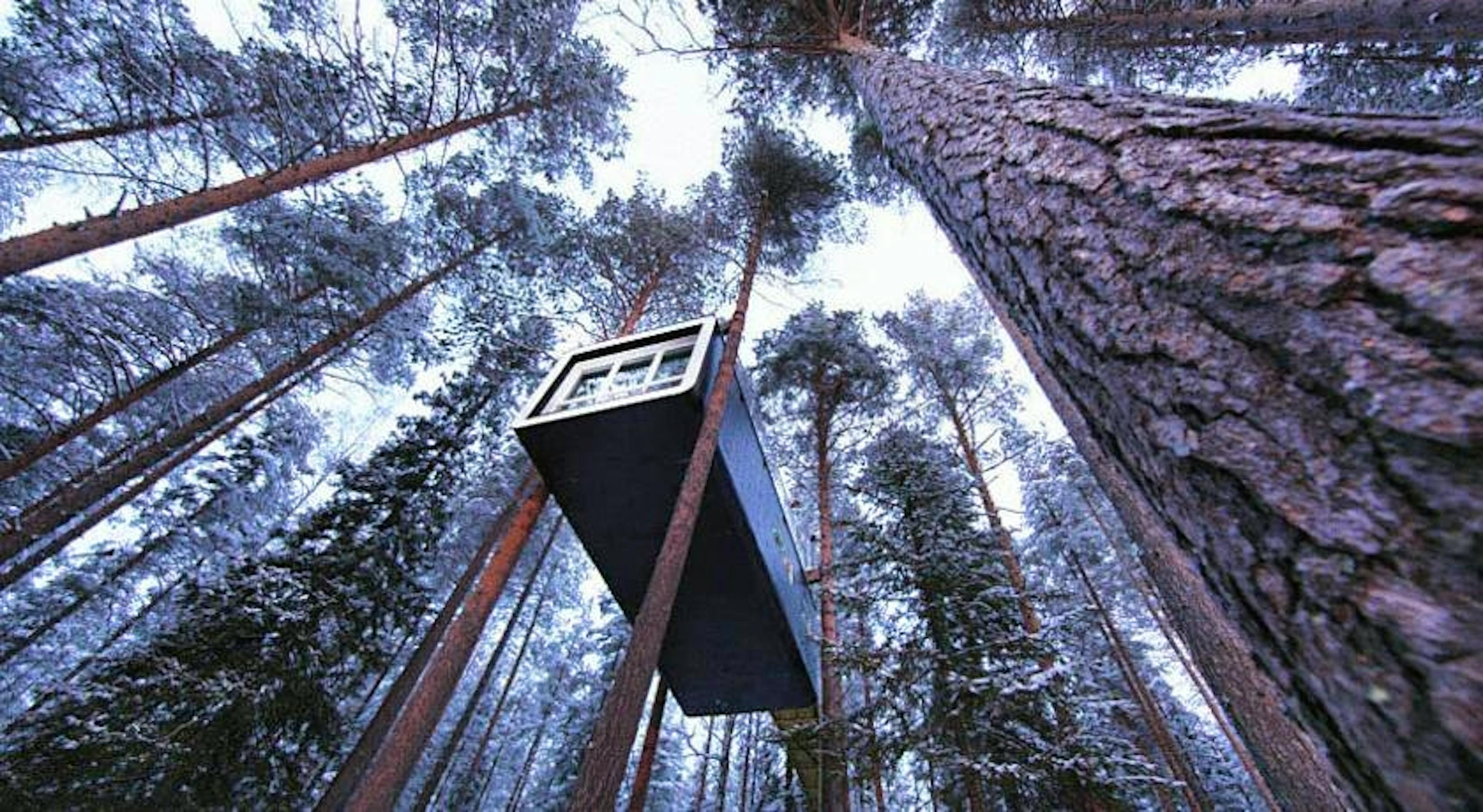 Tree Hotel - Image 7