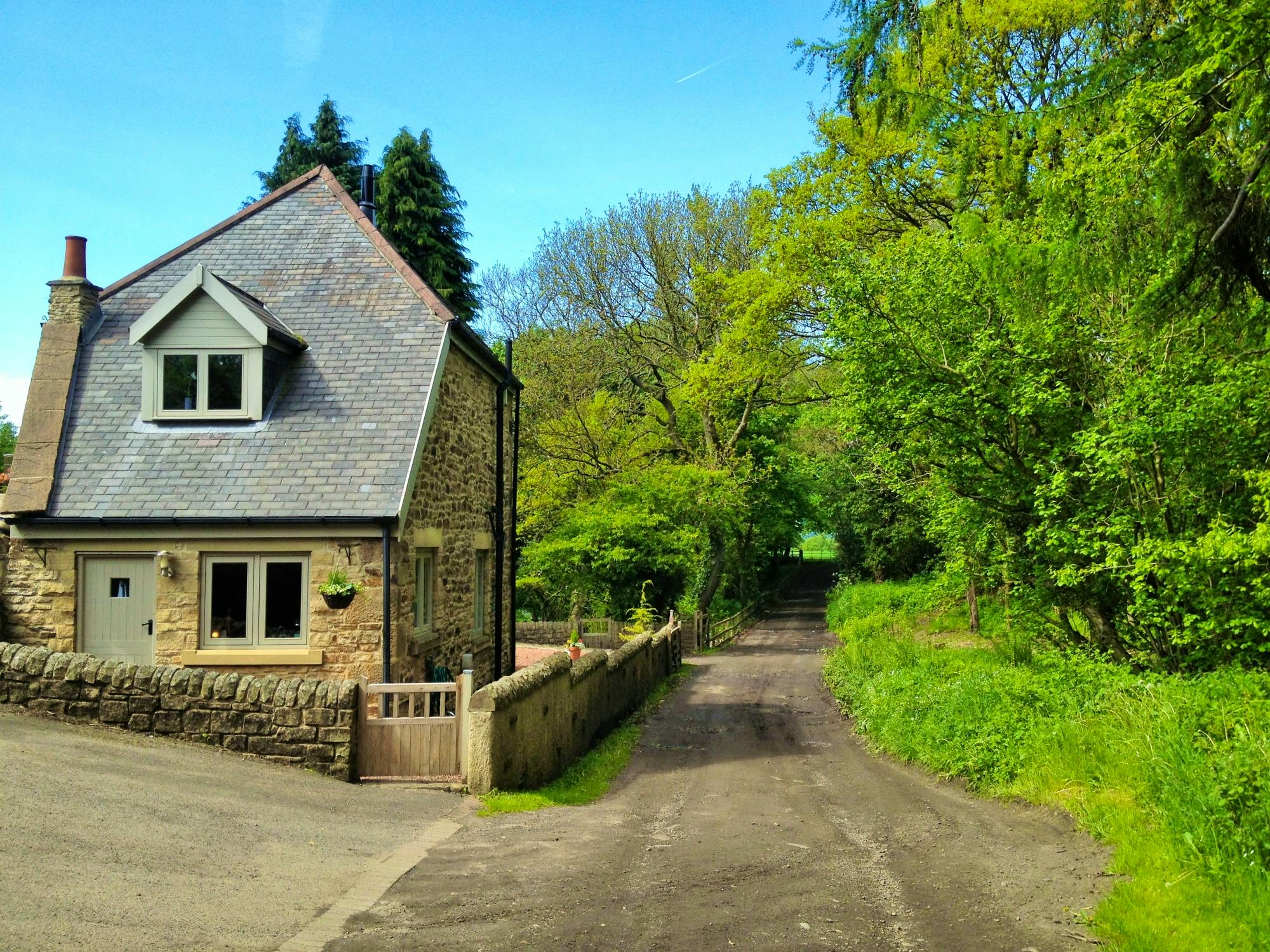 Last Minute Christmas & New Year Availability