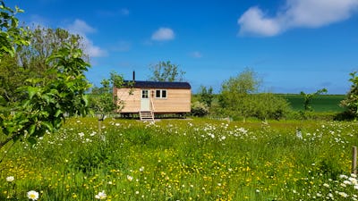 Cottages