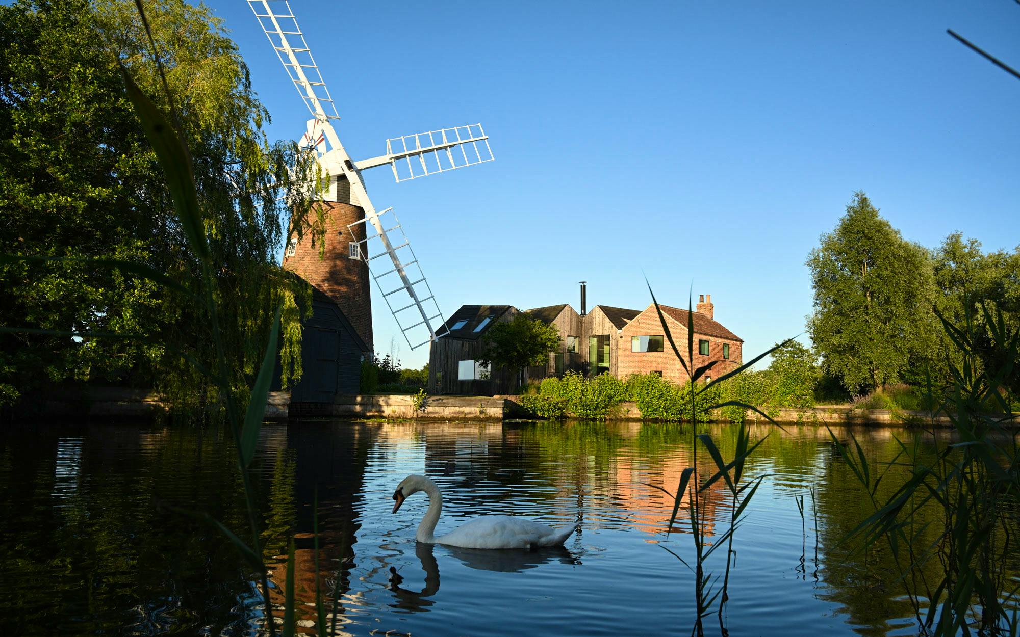 An afternoon by the river Ant 