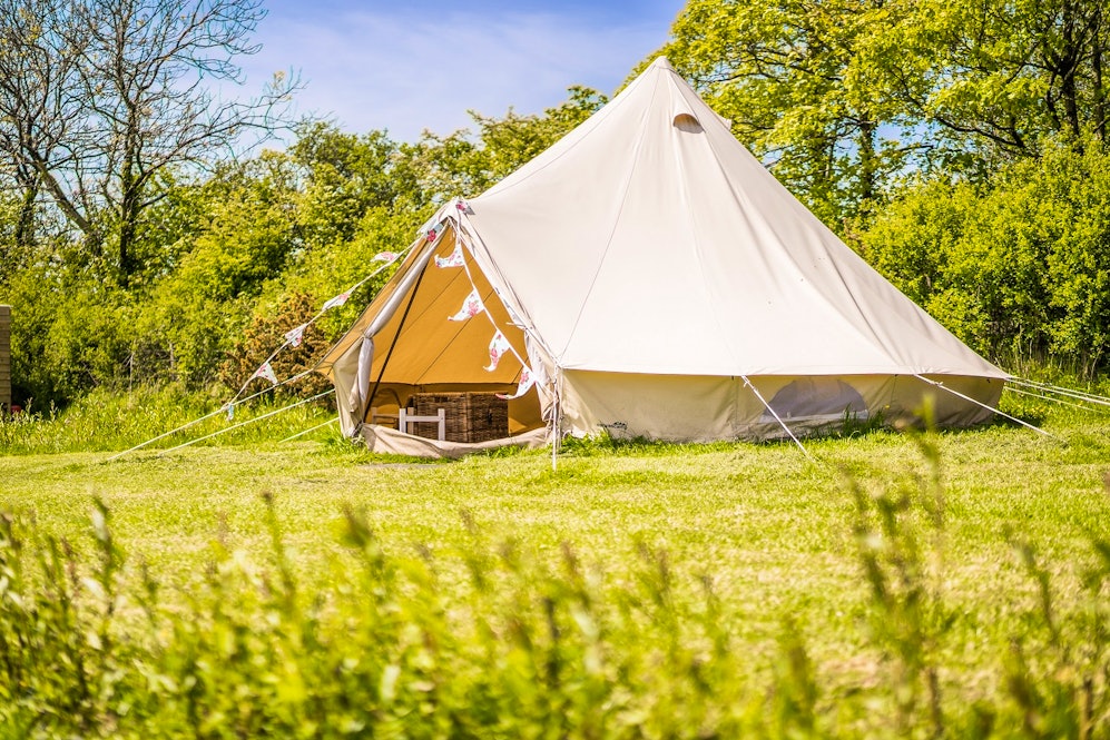 Beavers Retreat - Luxury glamping site near Tenby