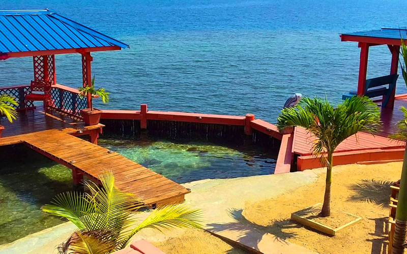 Bird Island Belize Your Own Private Island In Belize Bird island belize your own private island in belize