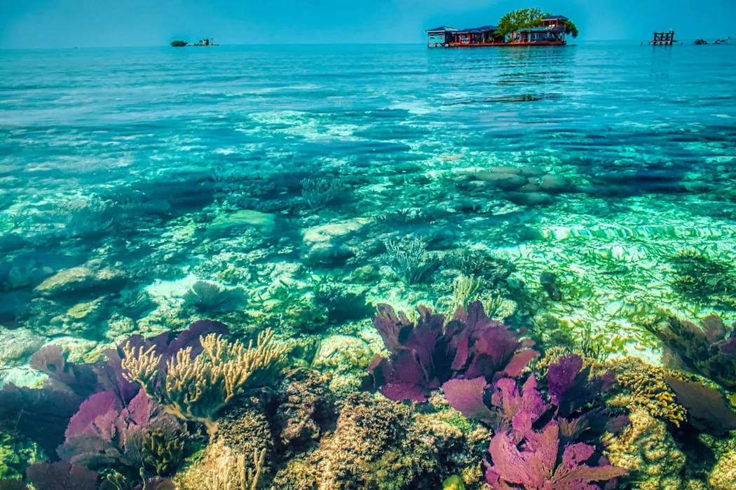 Bird Island Belize Your own private island in Belize