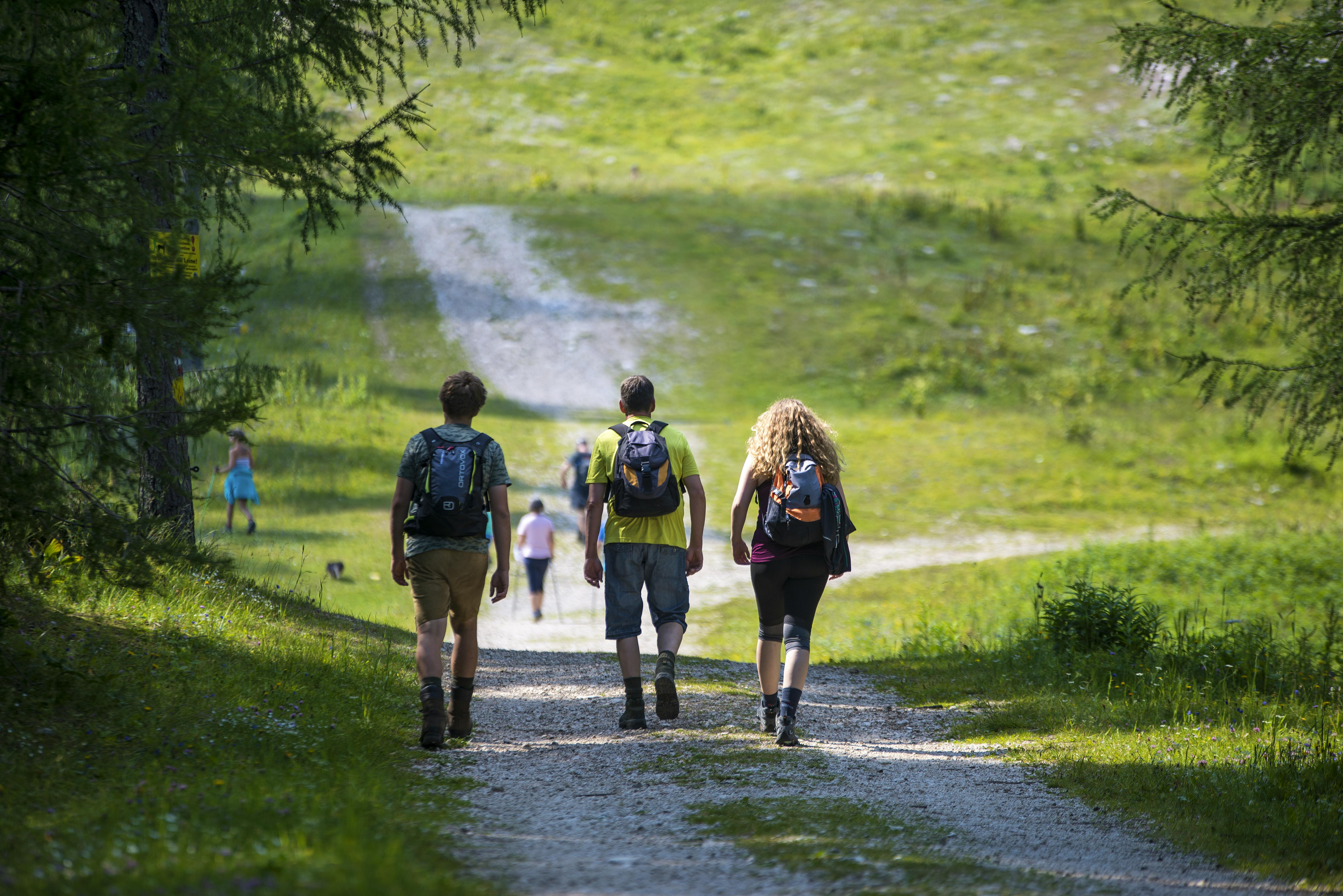 Lakeside Glamping Petzen - Hiking in the surroundings