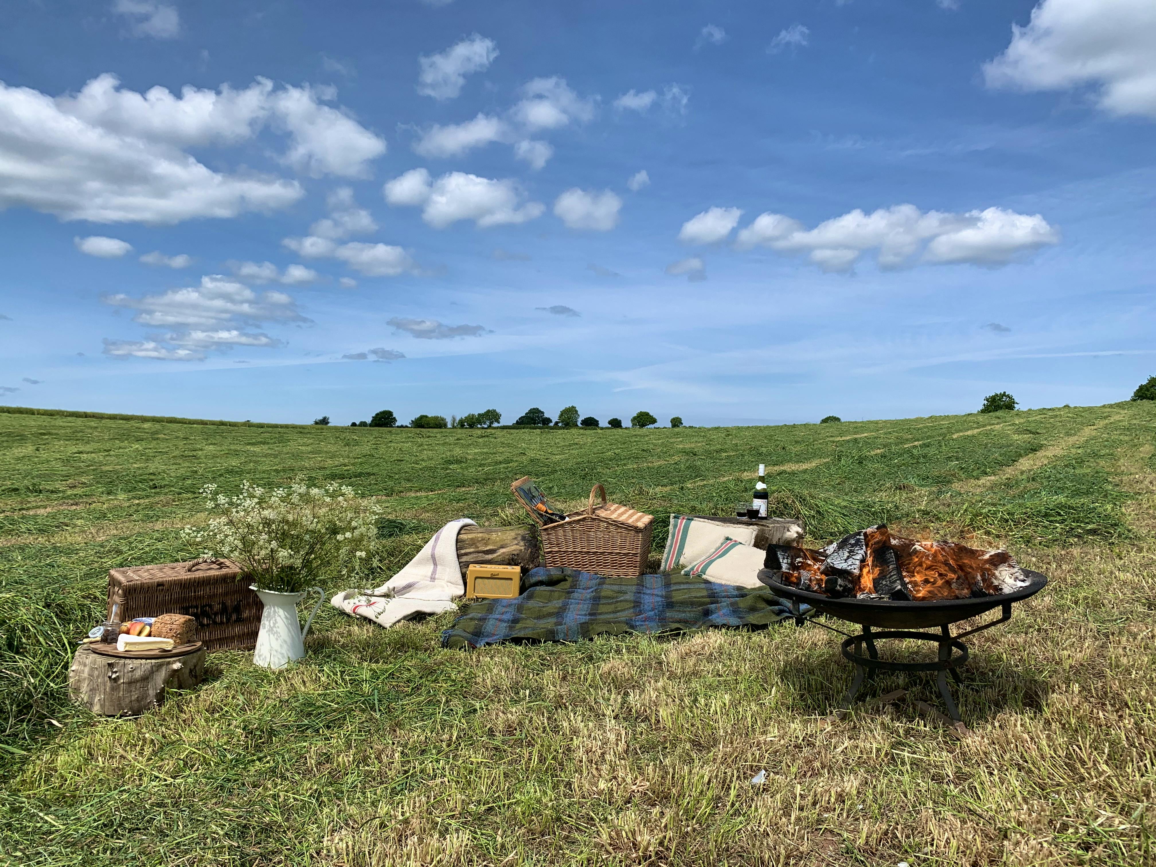 Picnic in Little Bickleyâ€™s own field