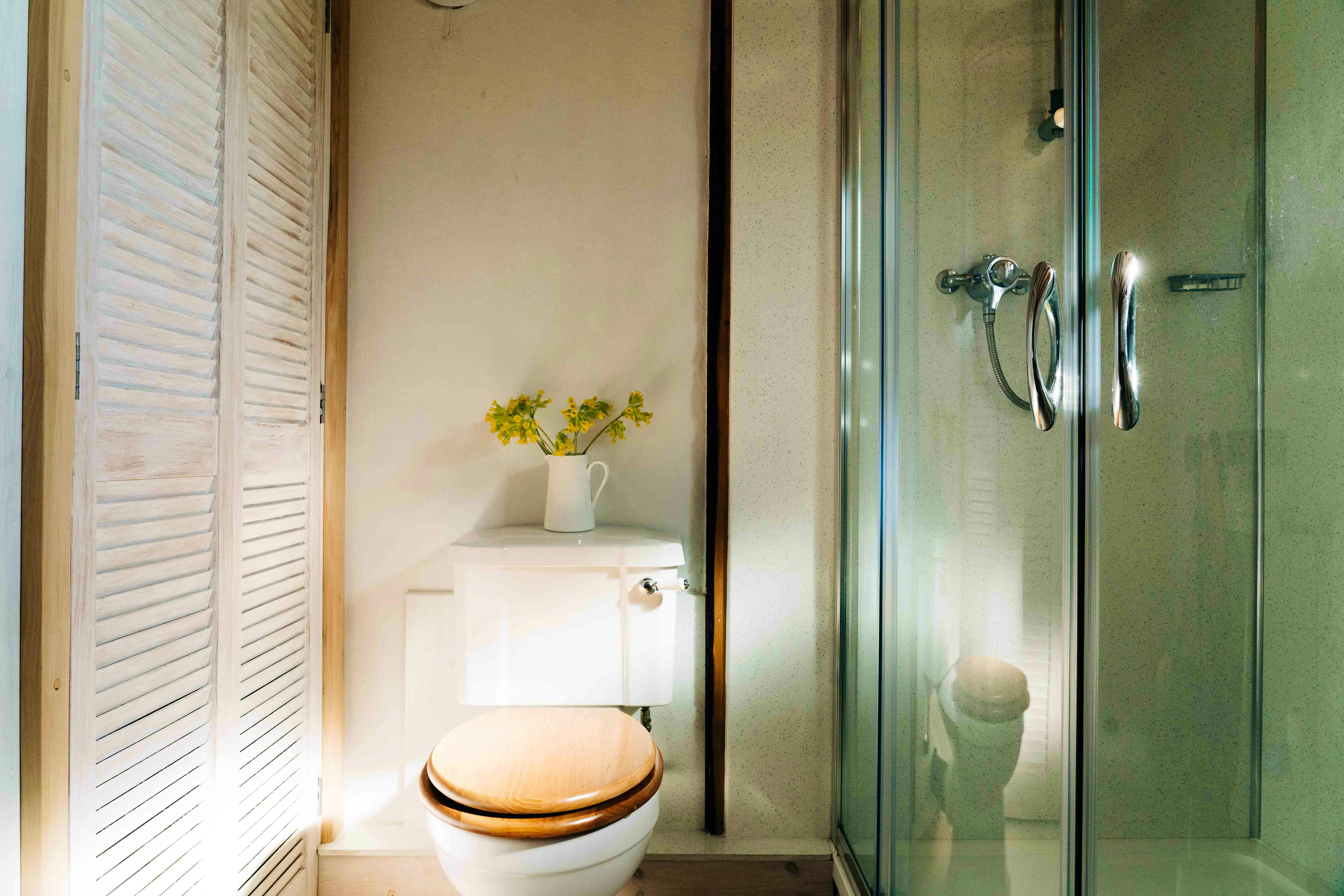 downstairs shower room