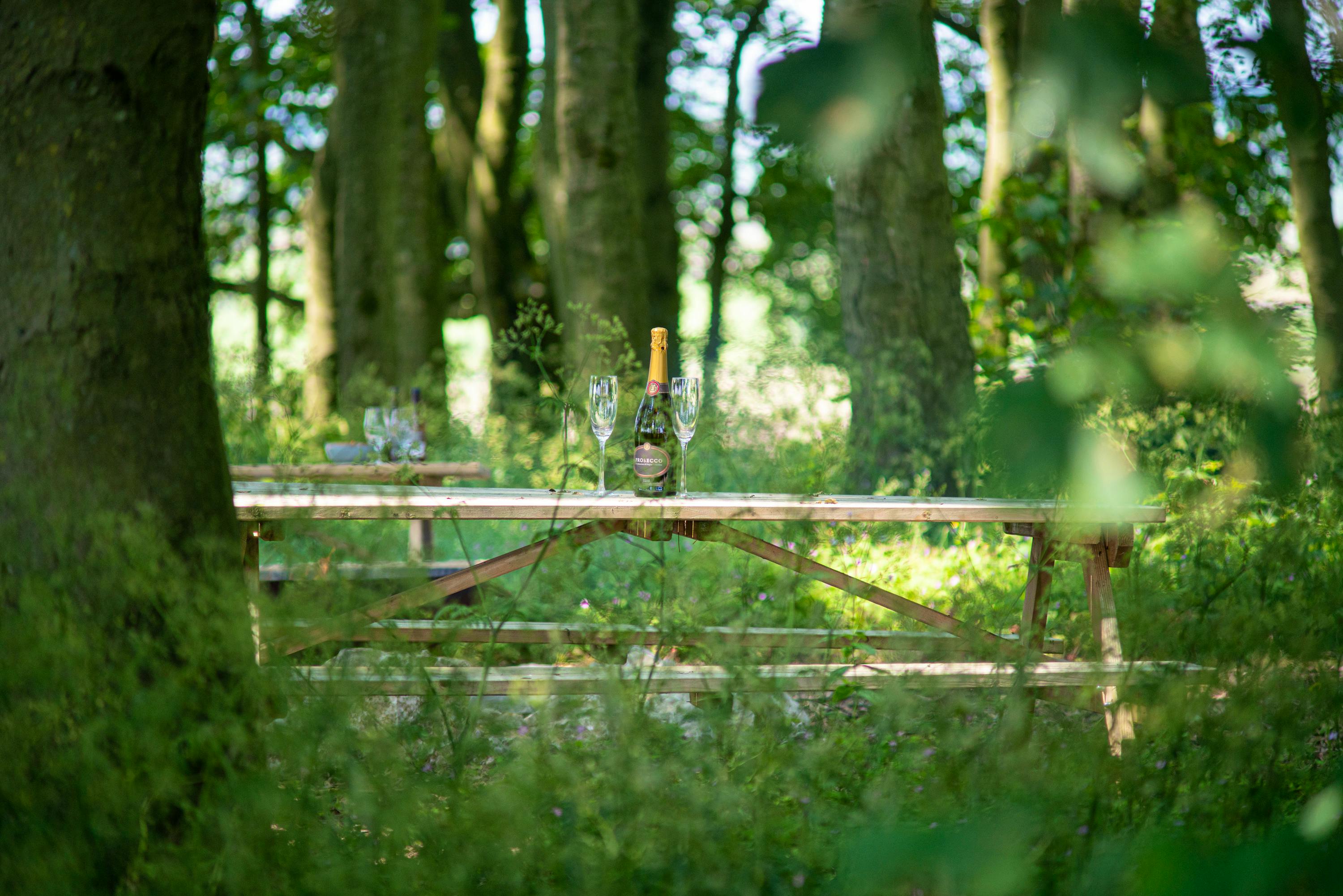 A fire-pit in the woods and other outdoor seating areas at Manor House Farm Cottages  