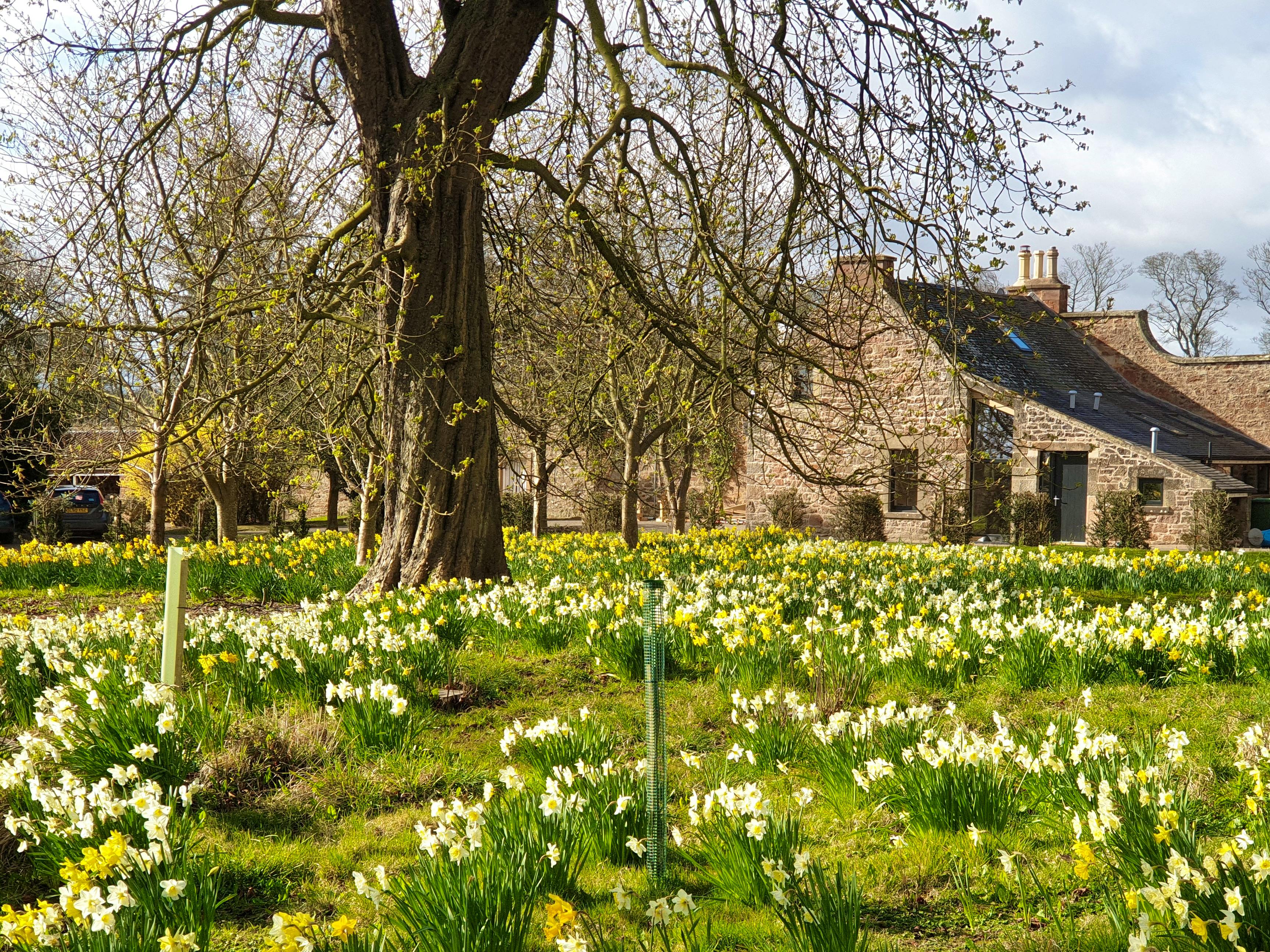The house sits in its own landscaped grounds