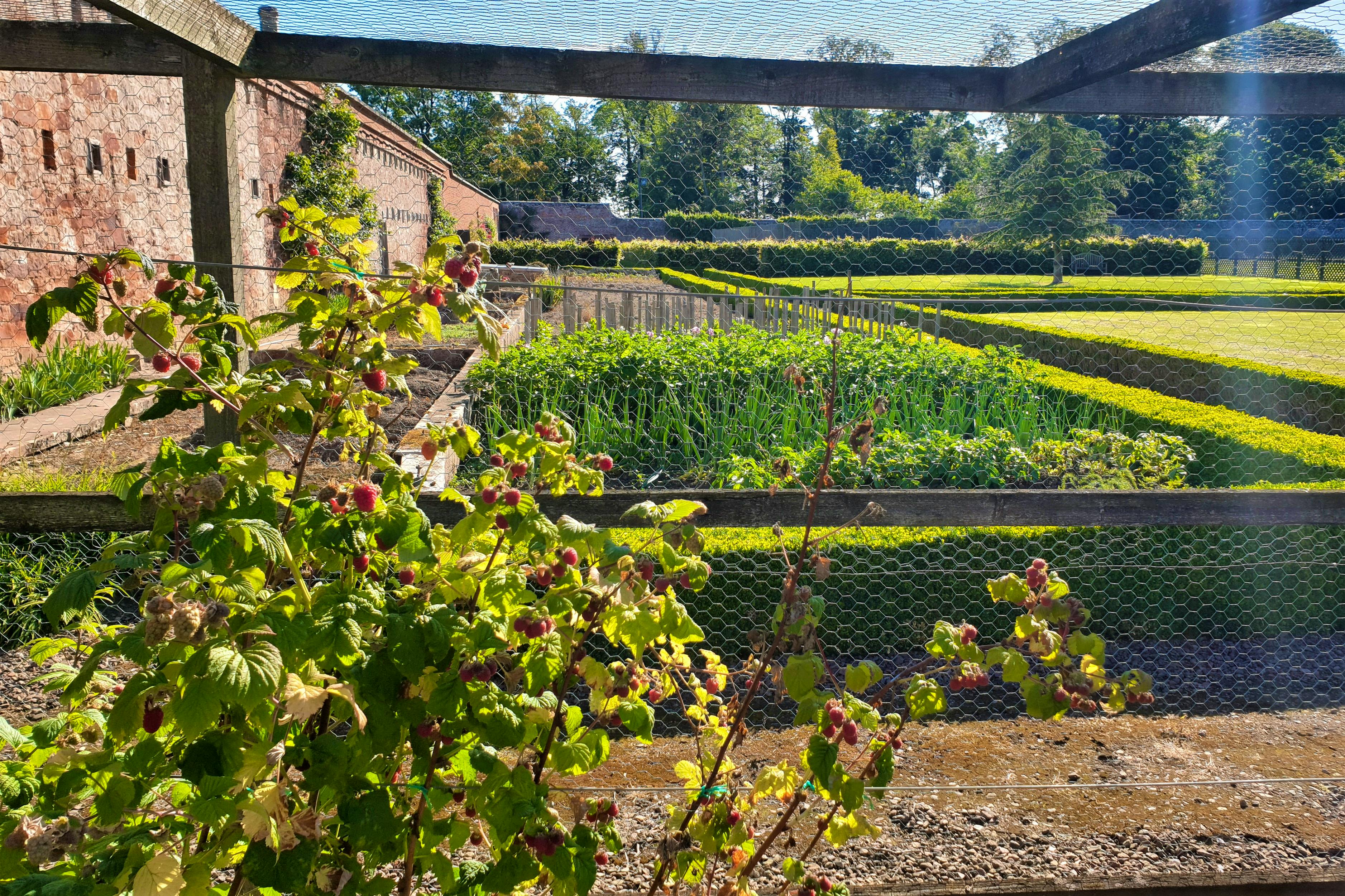 Guests can take fruit and vegetables from the garden in season