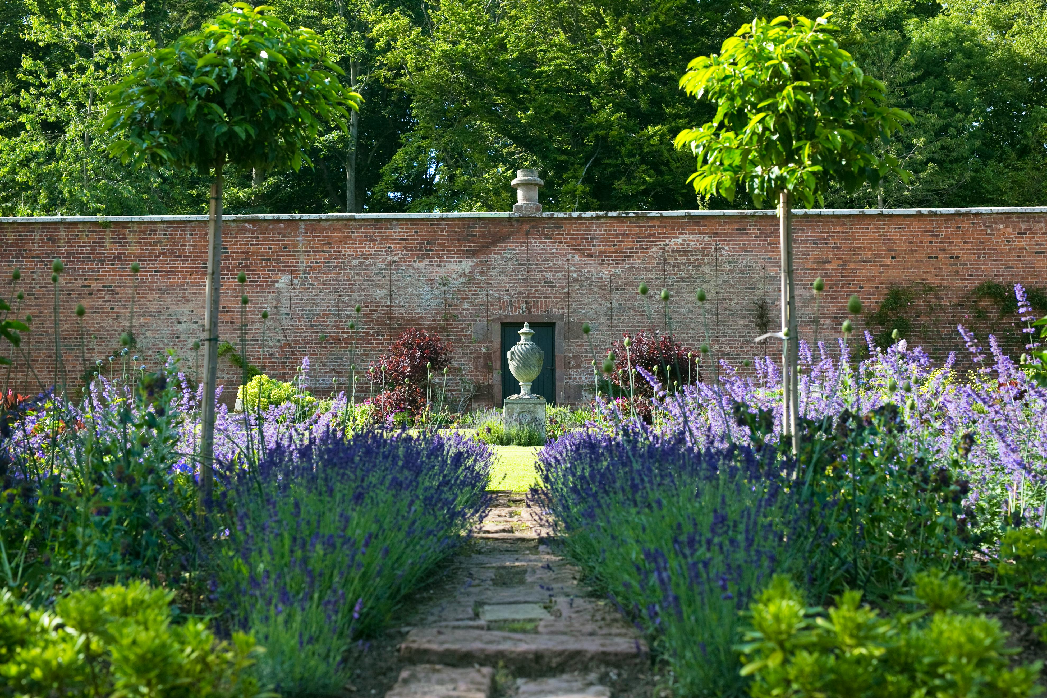 Guests have the garden to themselves