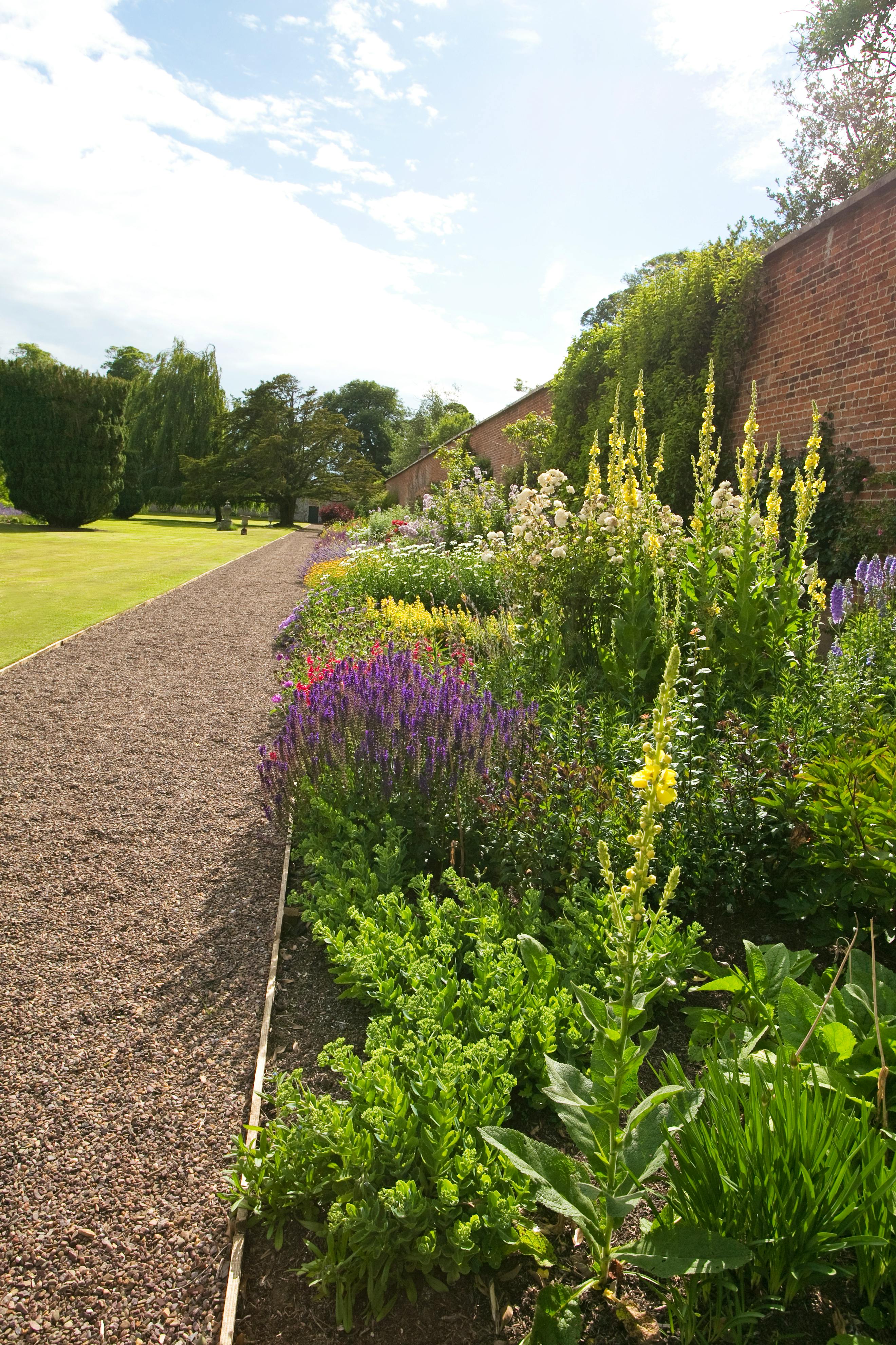 The garden stretches into the distance