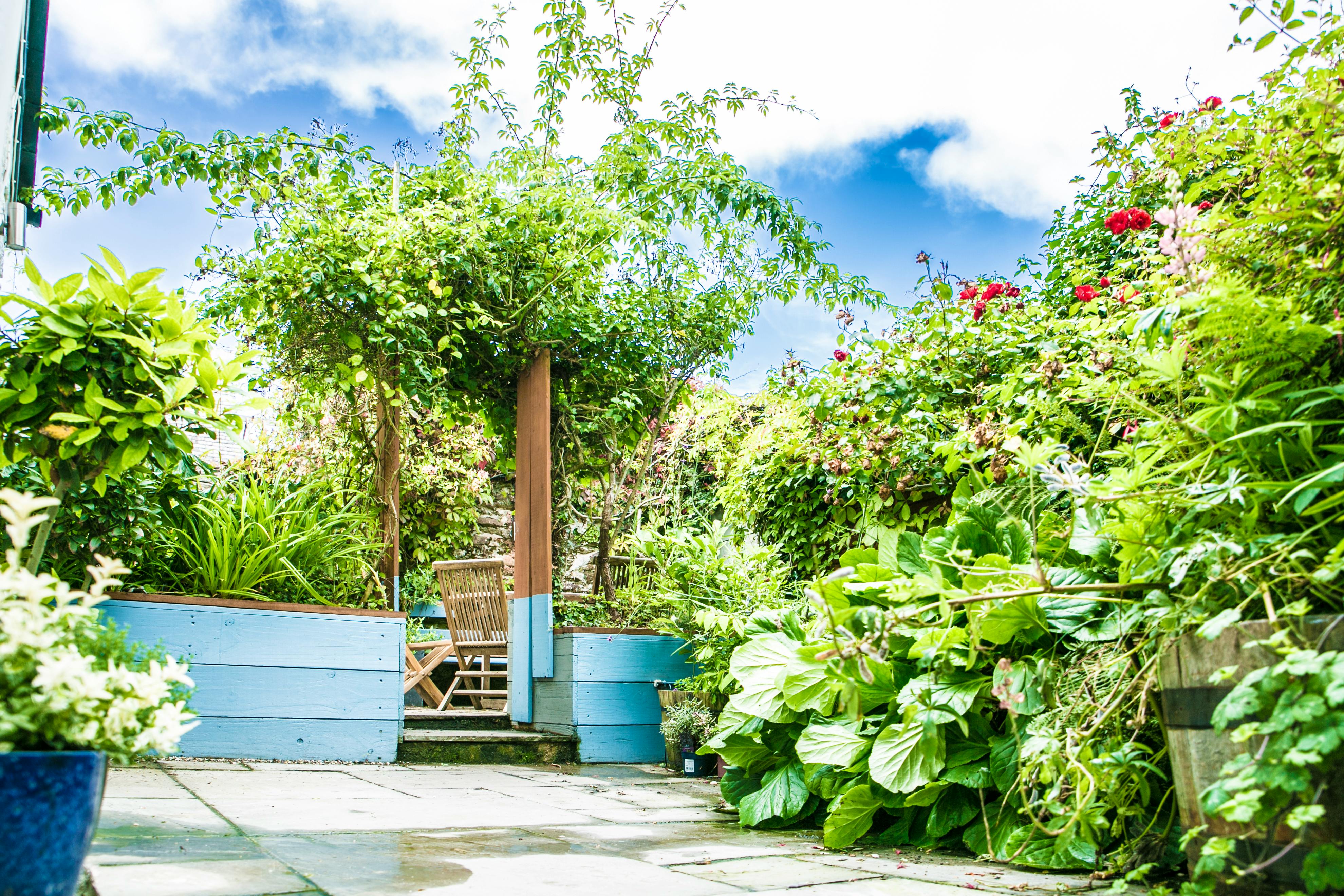 Patio and Rose Arch