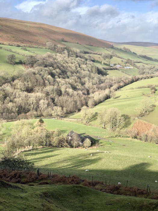 The Tithe House - Gorgeous holiday home in Powys for big groups.