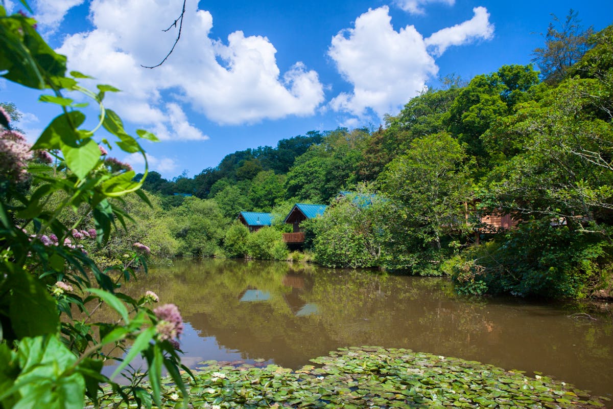 Luxury Woodland Accommodation In An Ancient Cornish Forest