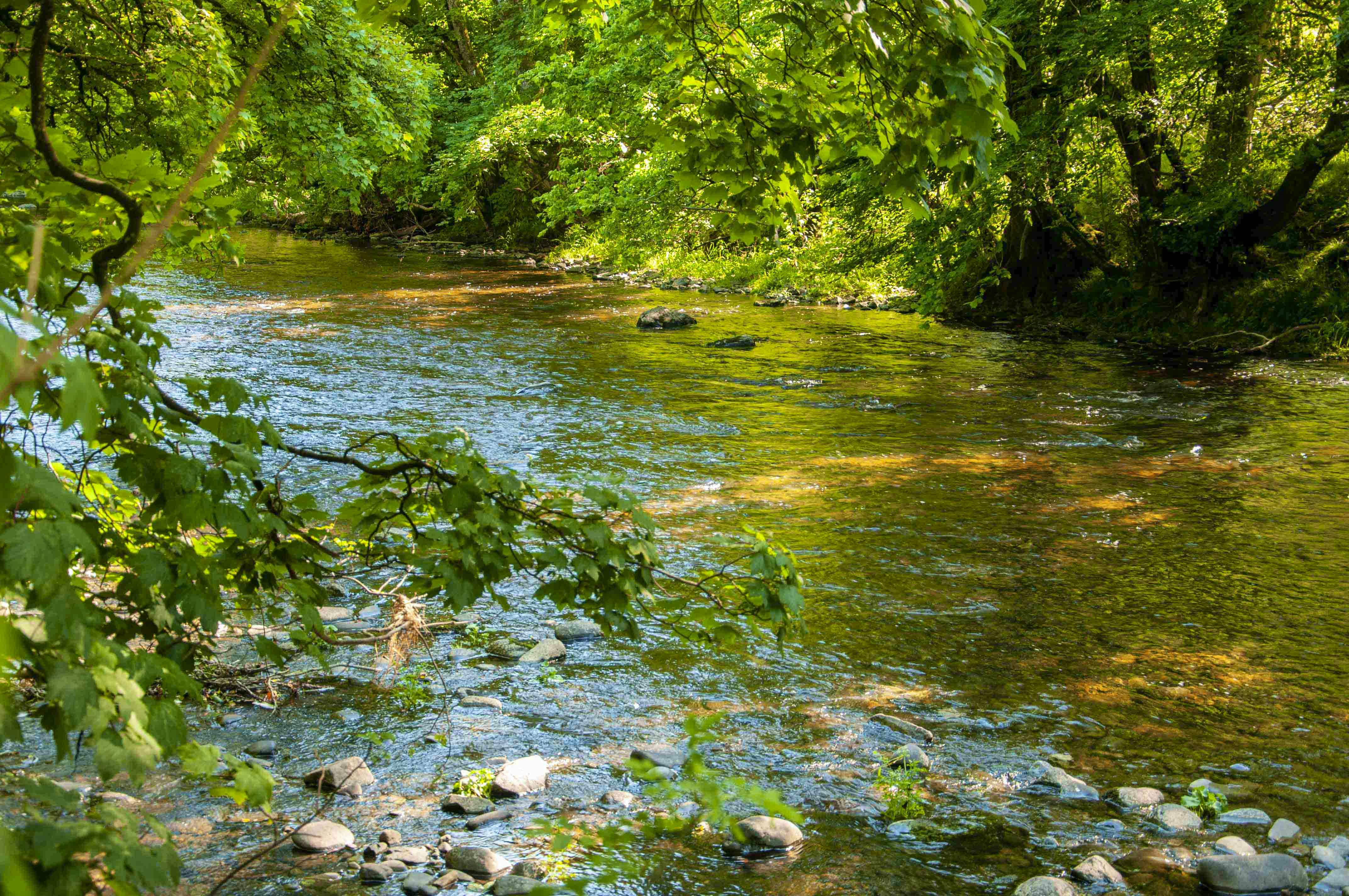view from the balcony