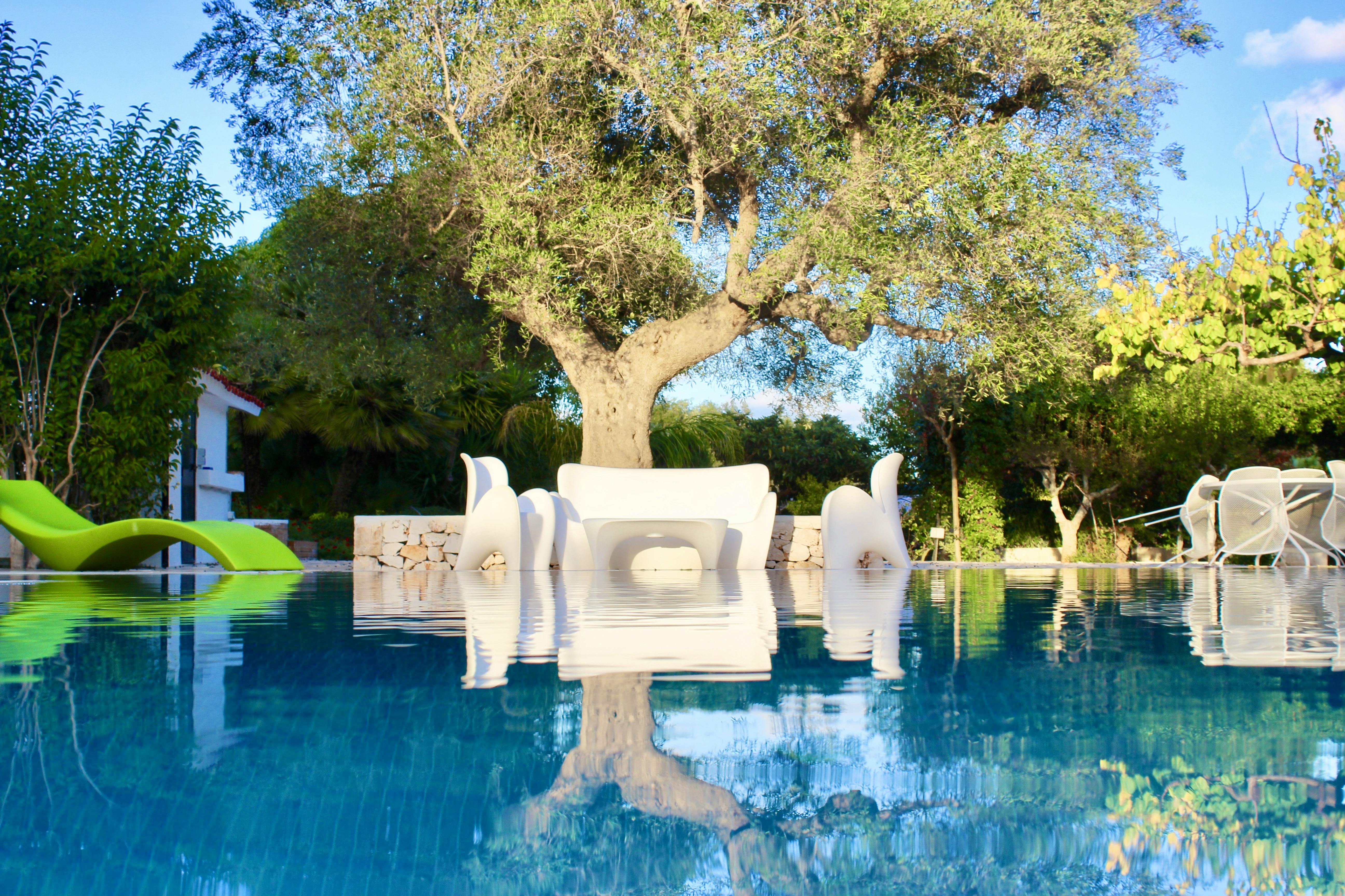 The pool surrounded by centuries-old olive trees