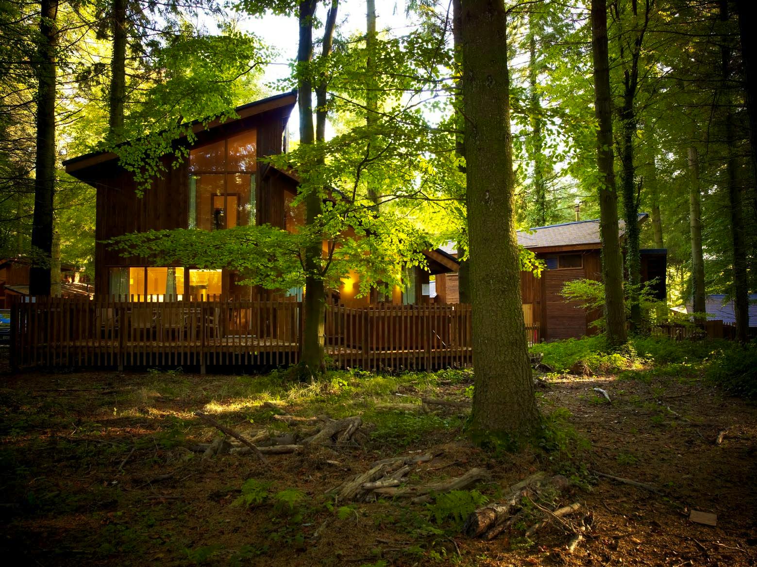 Top 10 UK Woodland Retreats