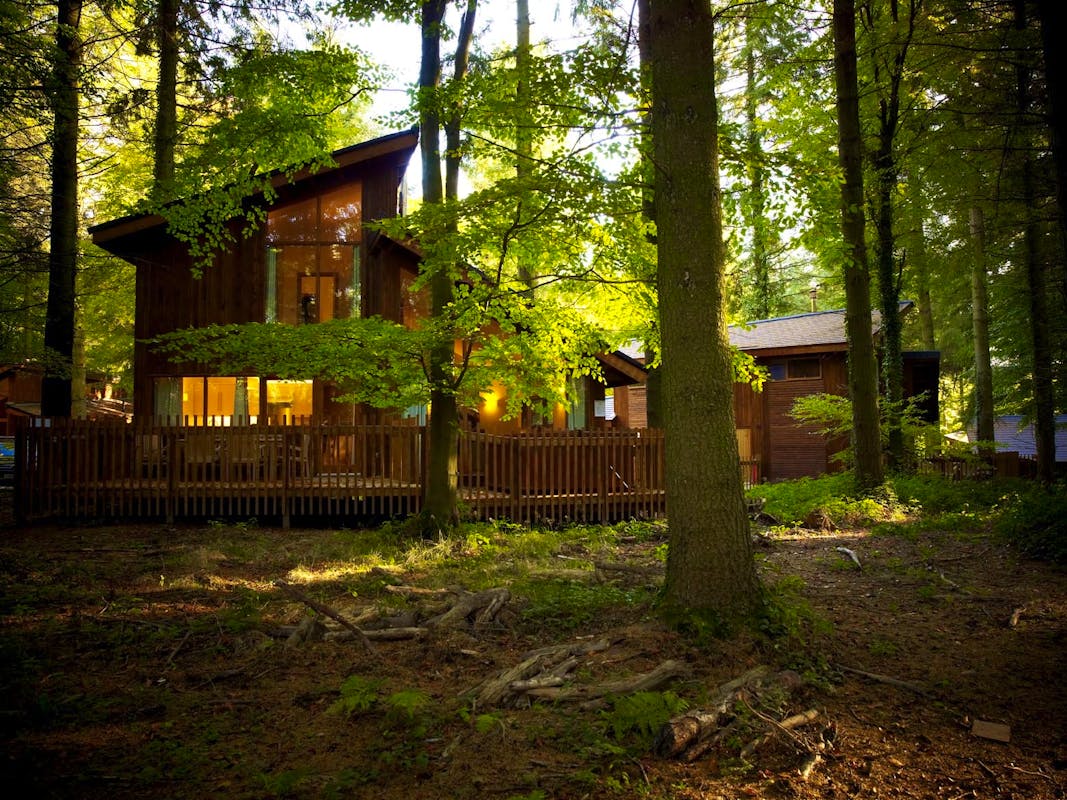 Luxury Woodland Accommodation In The Forest Of Dean