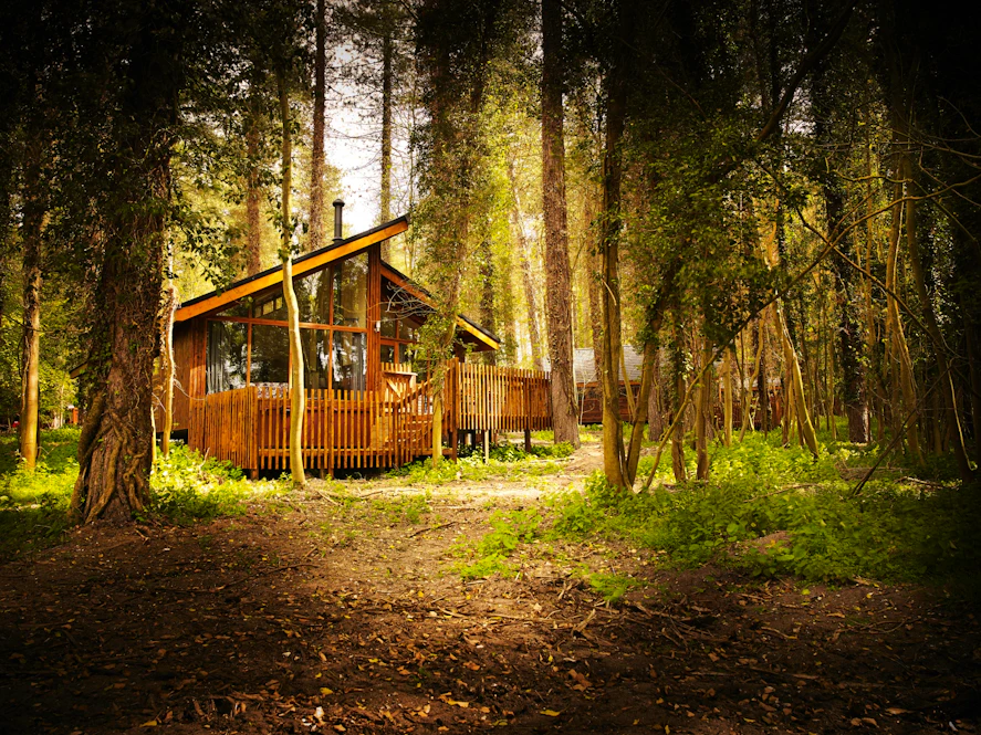 Luxury Woodland Accommodation In Thorpe Forest