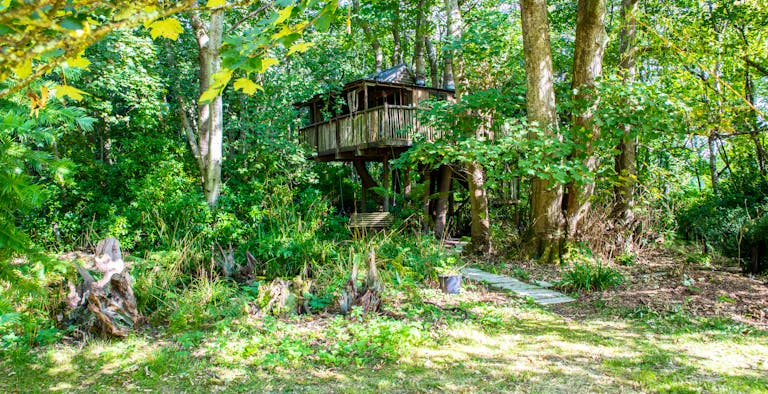 The Treehouse at Castle Cottage