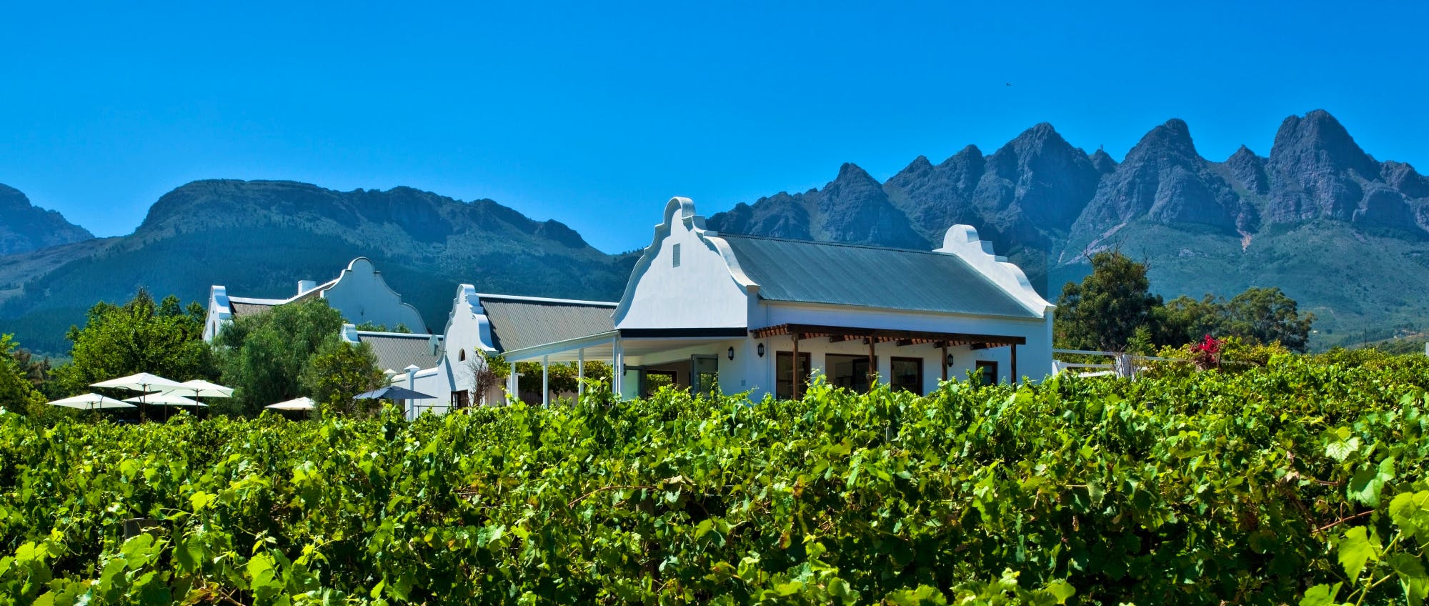 Boutique B&B In Wellington Valley, South Africa