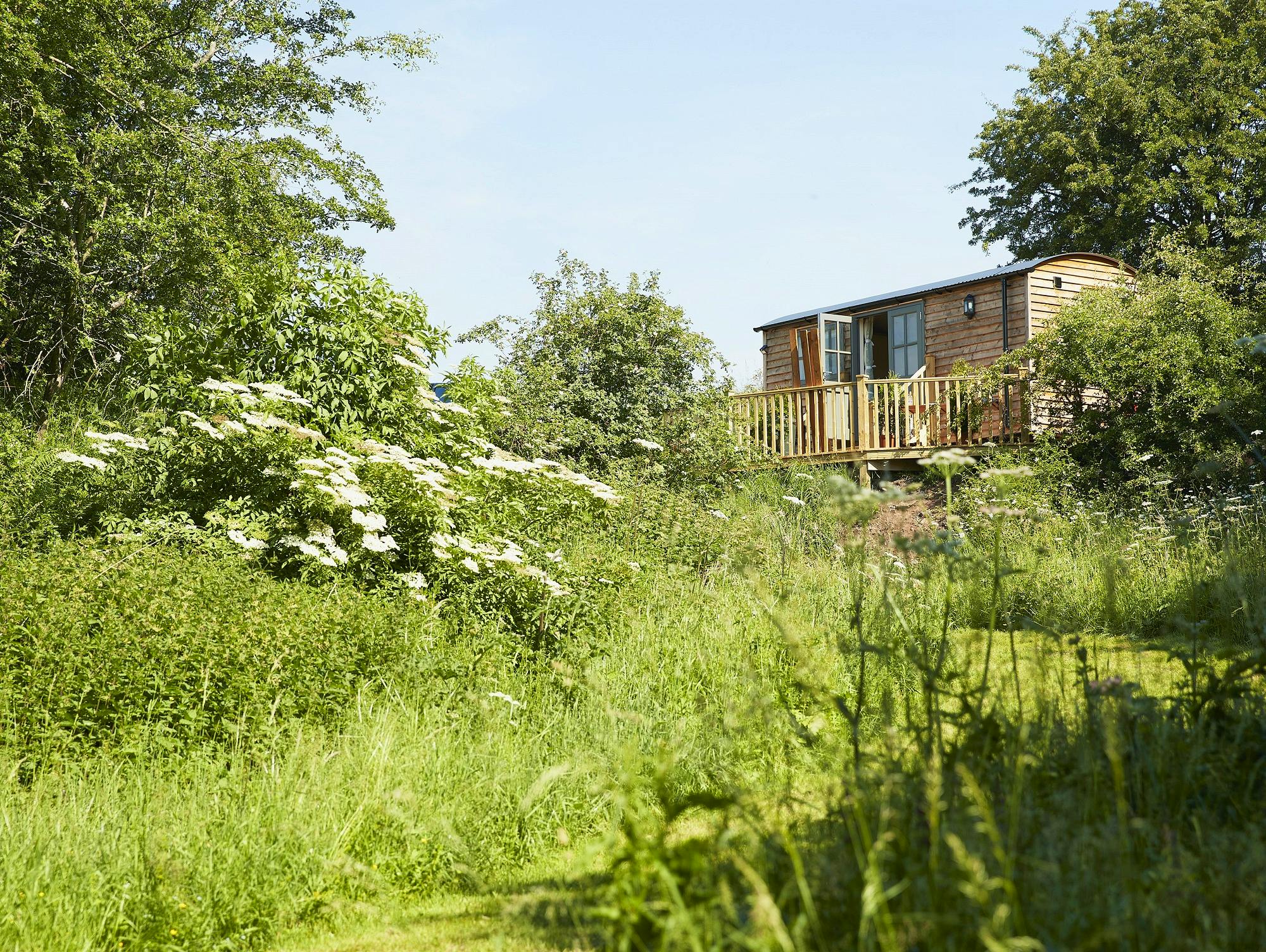 Elm Retreat shepherds hut with private woodland and riverfront access near Lake District LPG heating and solar power