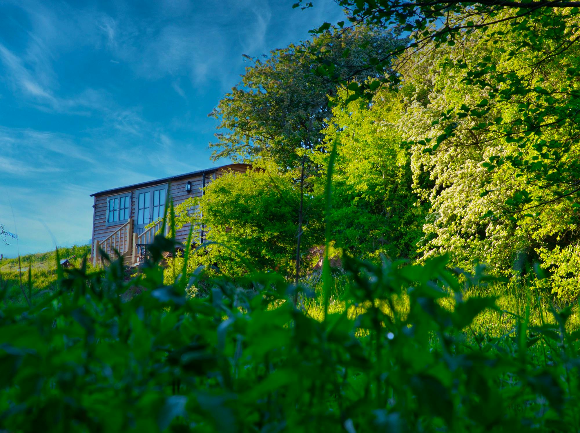Elm Retreat shepherds hut with fire pit and Weber charcoal BBQ, complimentary logs, kindling and locally sourced charcoal provided
