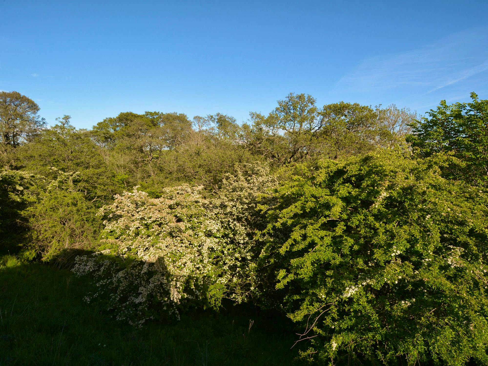 Hawthorn Retreat shepherds hut views over woodled valley of River Petteril from private wooden balcony
