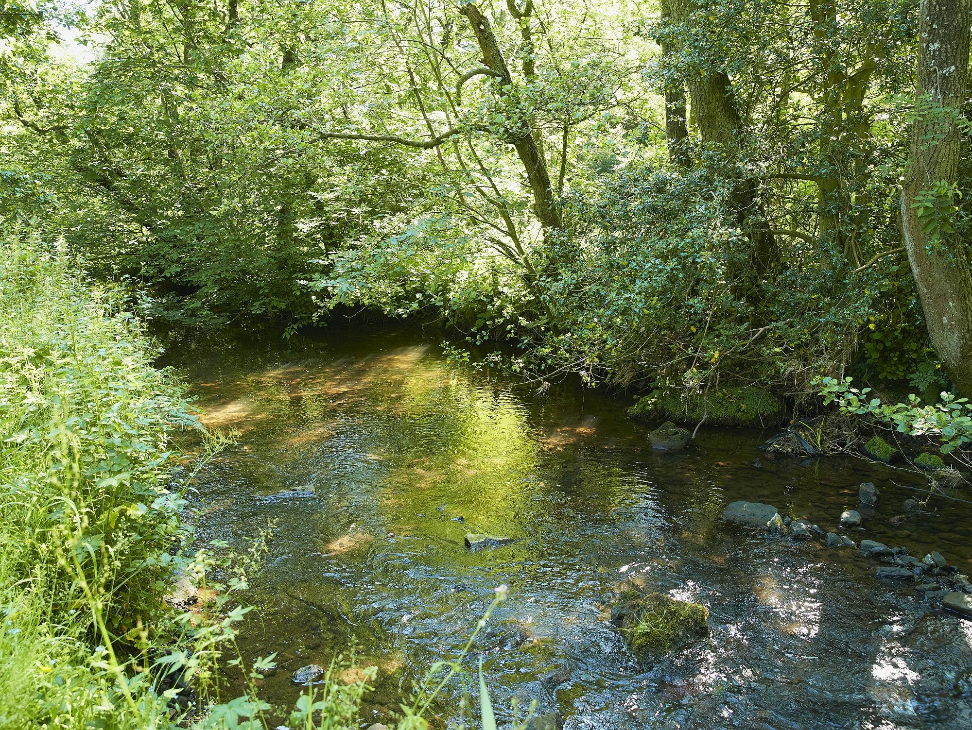 Rowan Retreat private river front access to River Petteril and woodland meadow at The Rowley Estates
