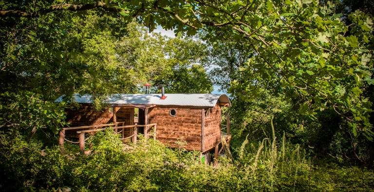 The Woodman's Wagon Treehouse