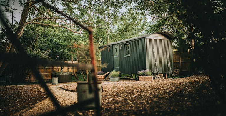 The Hut at Lymore Forest