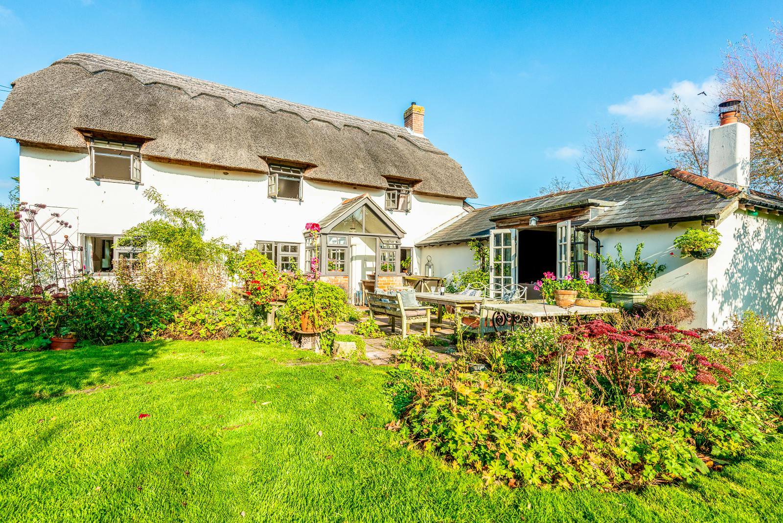 Hiking in the New Forest