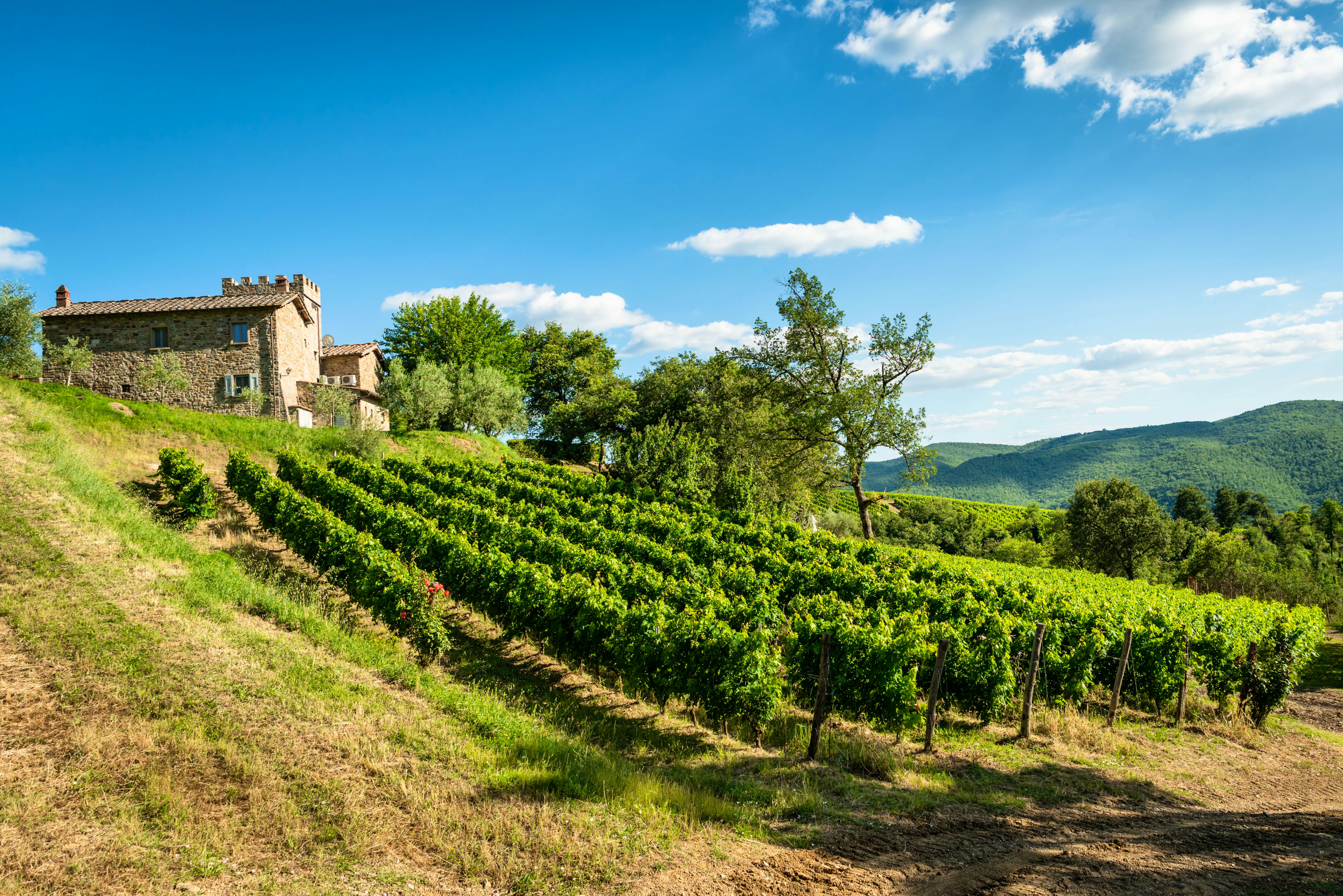 Nine Gorgeous New CoolStays