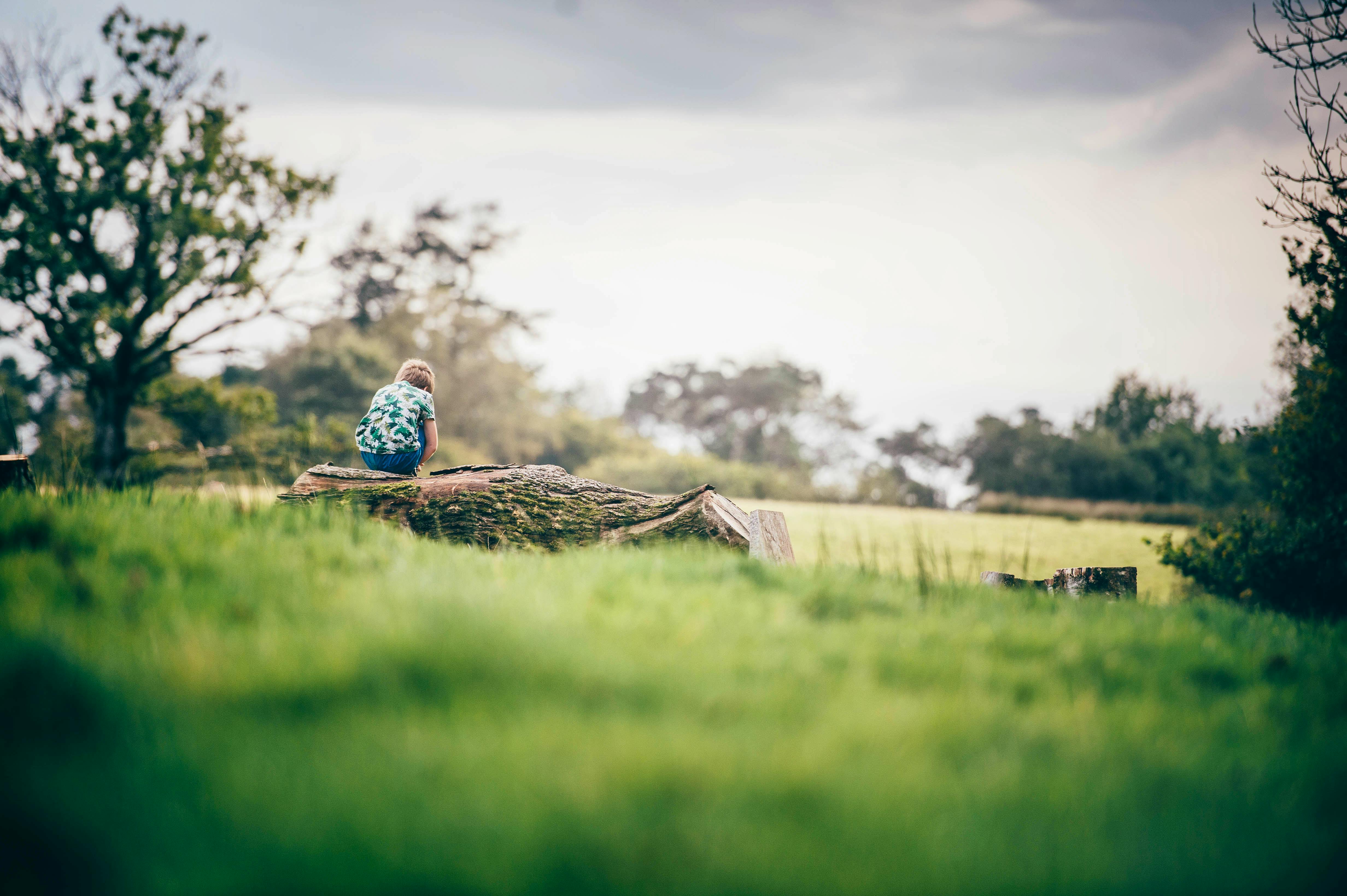 Glamping meadow at Nantseren