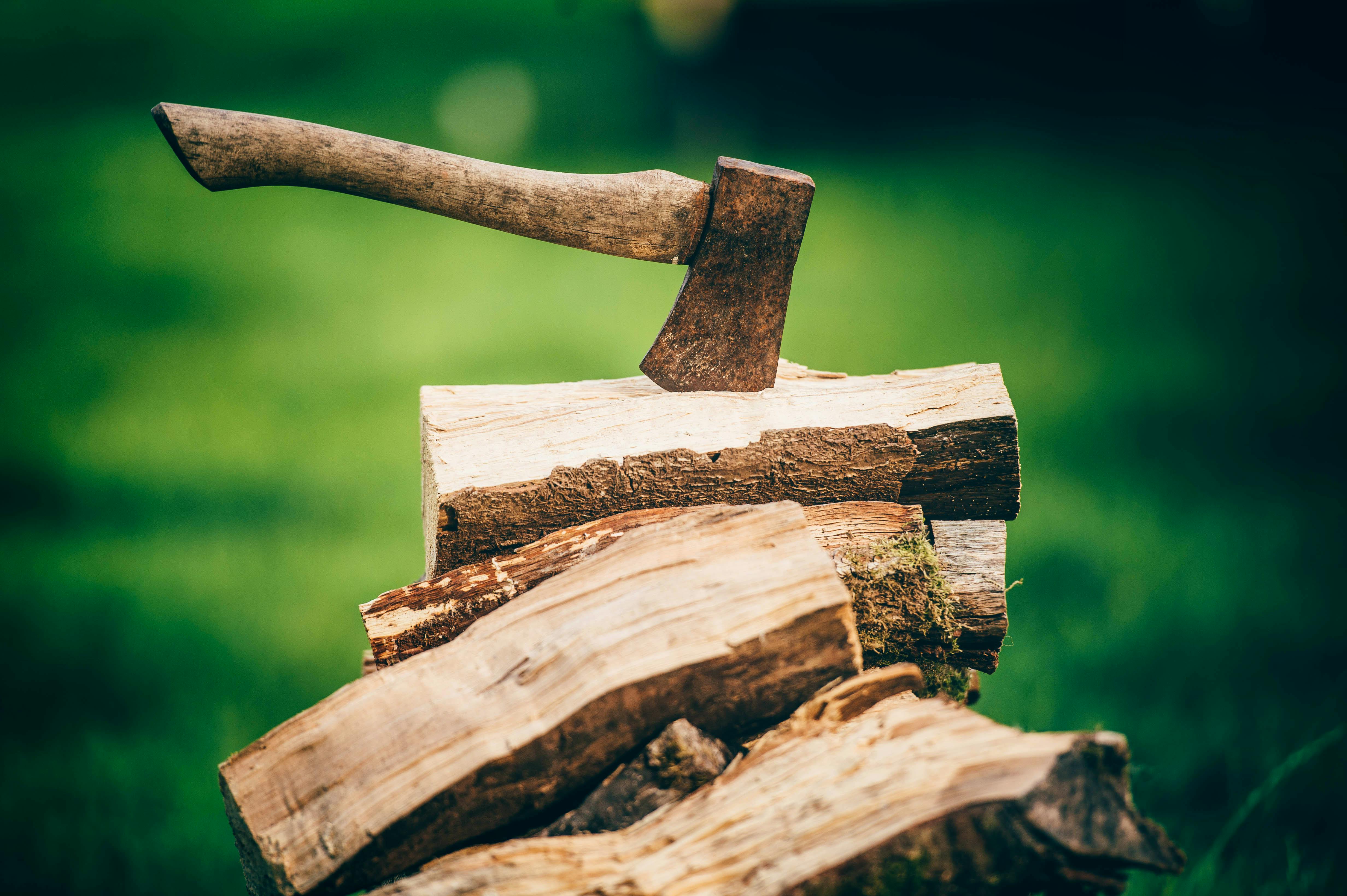 Firewood at Nantseren