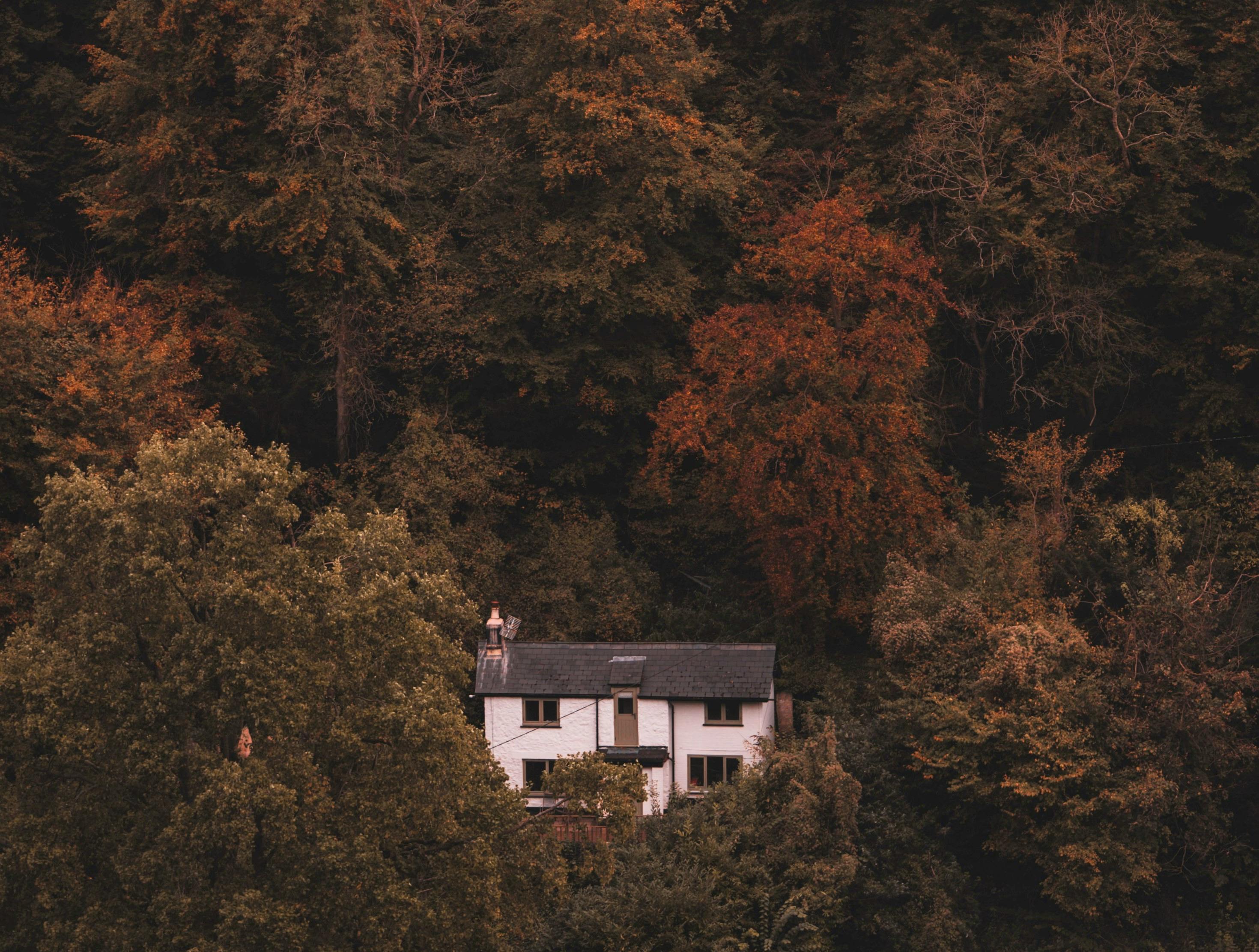 15 of the Best Yoga and Wellness Retreats