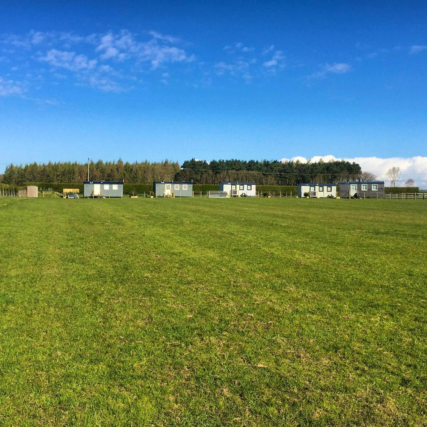 All Five Shepherd Huts