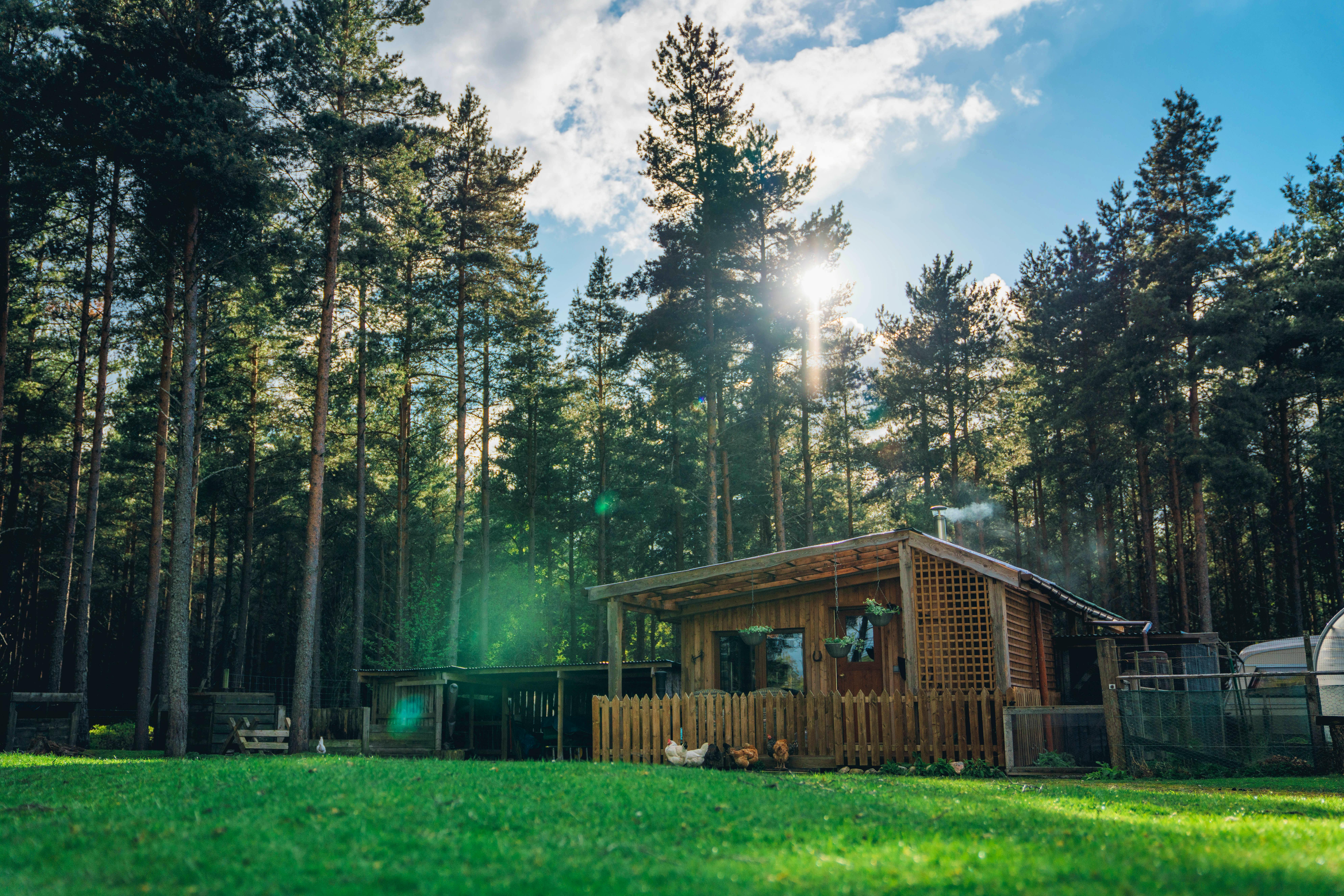 21 Best New Coolstays 