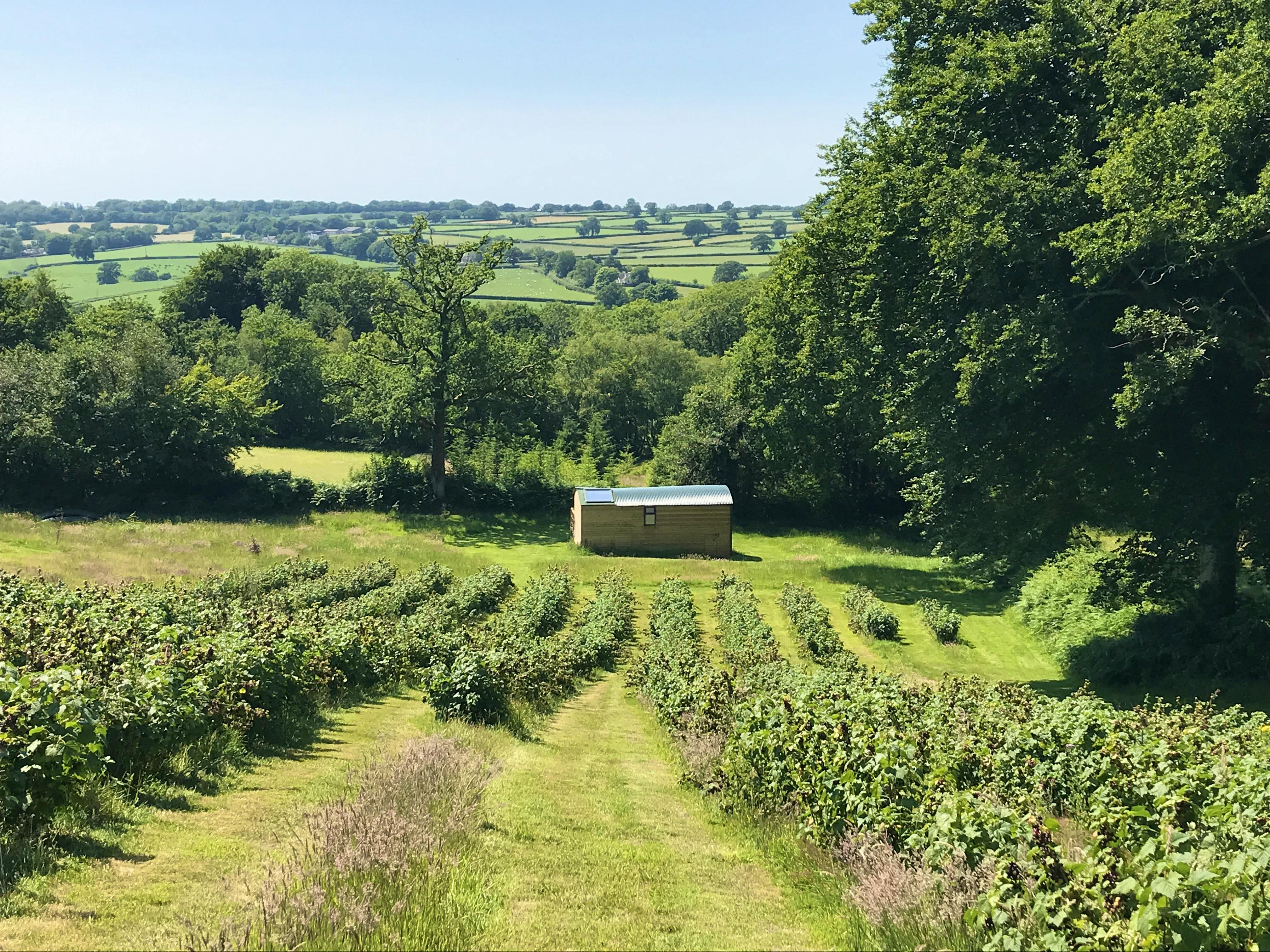 This week's best discoveries