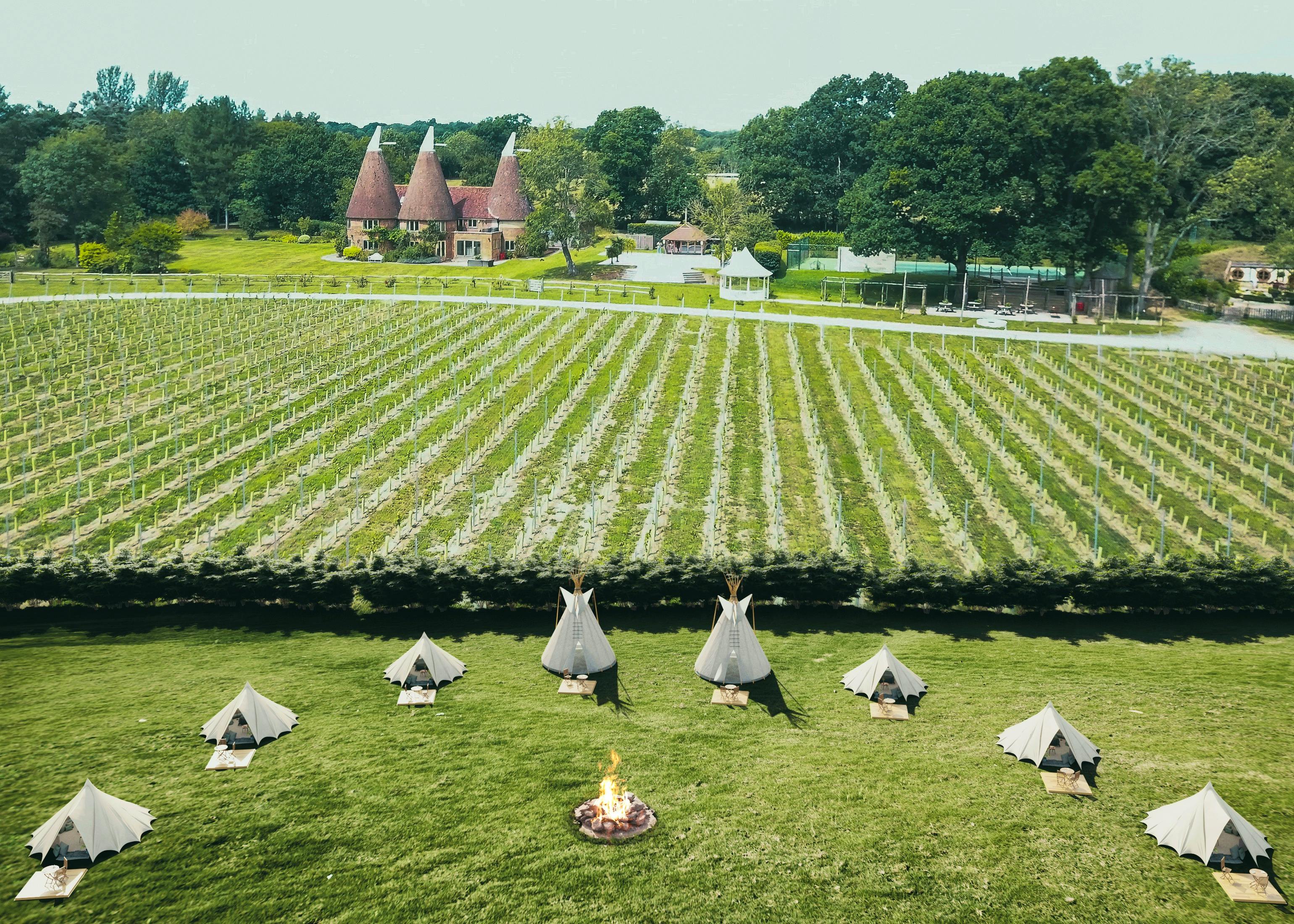 This Week's New Finds