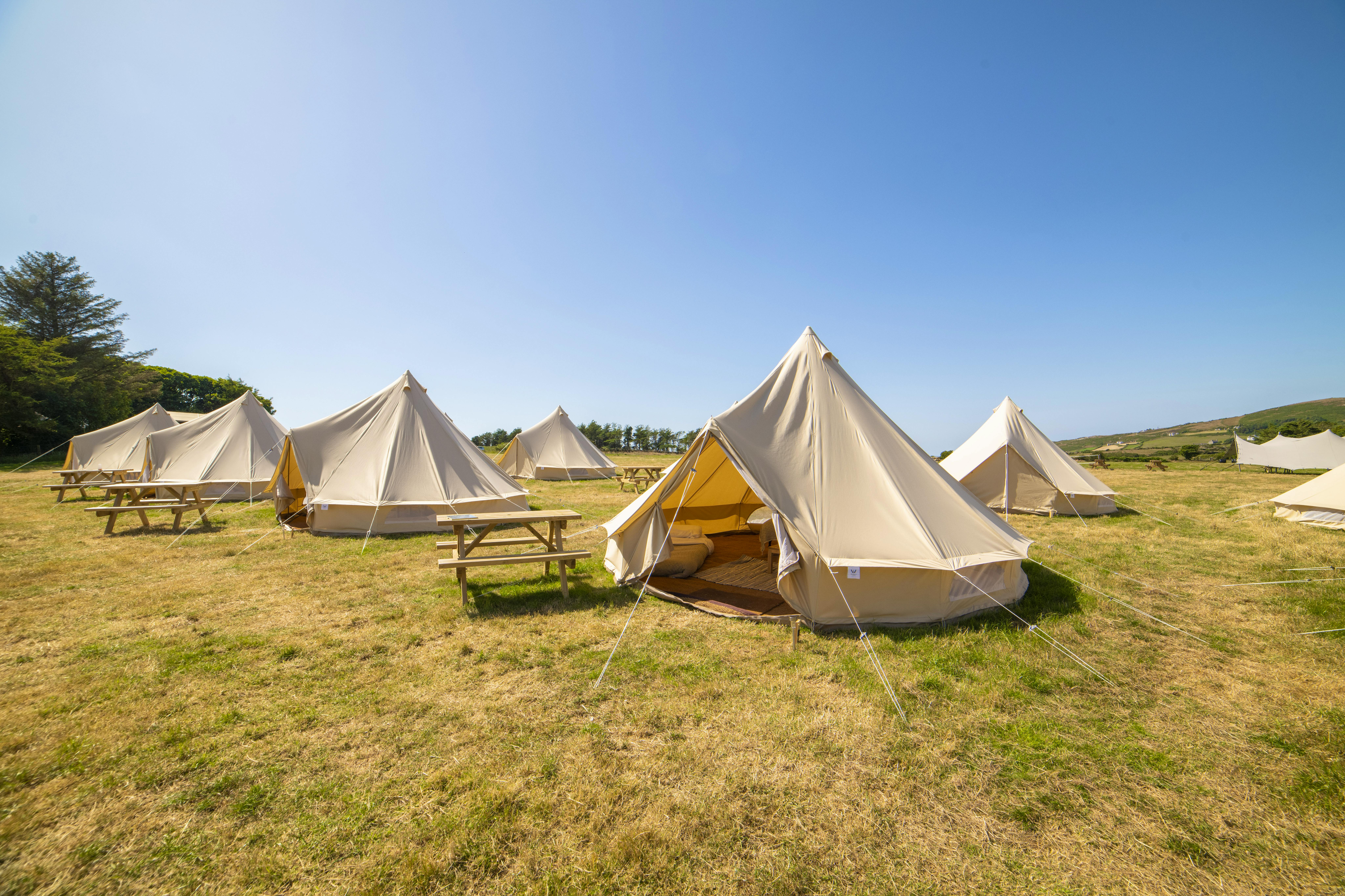 15 New Staycation Finds