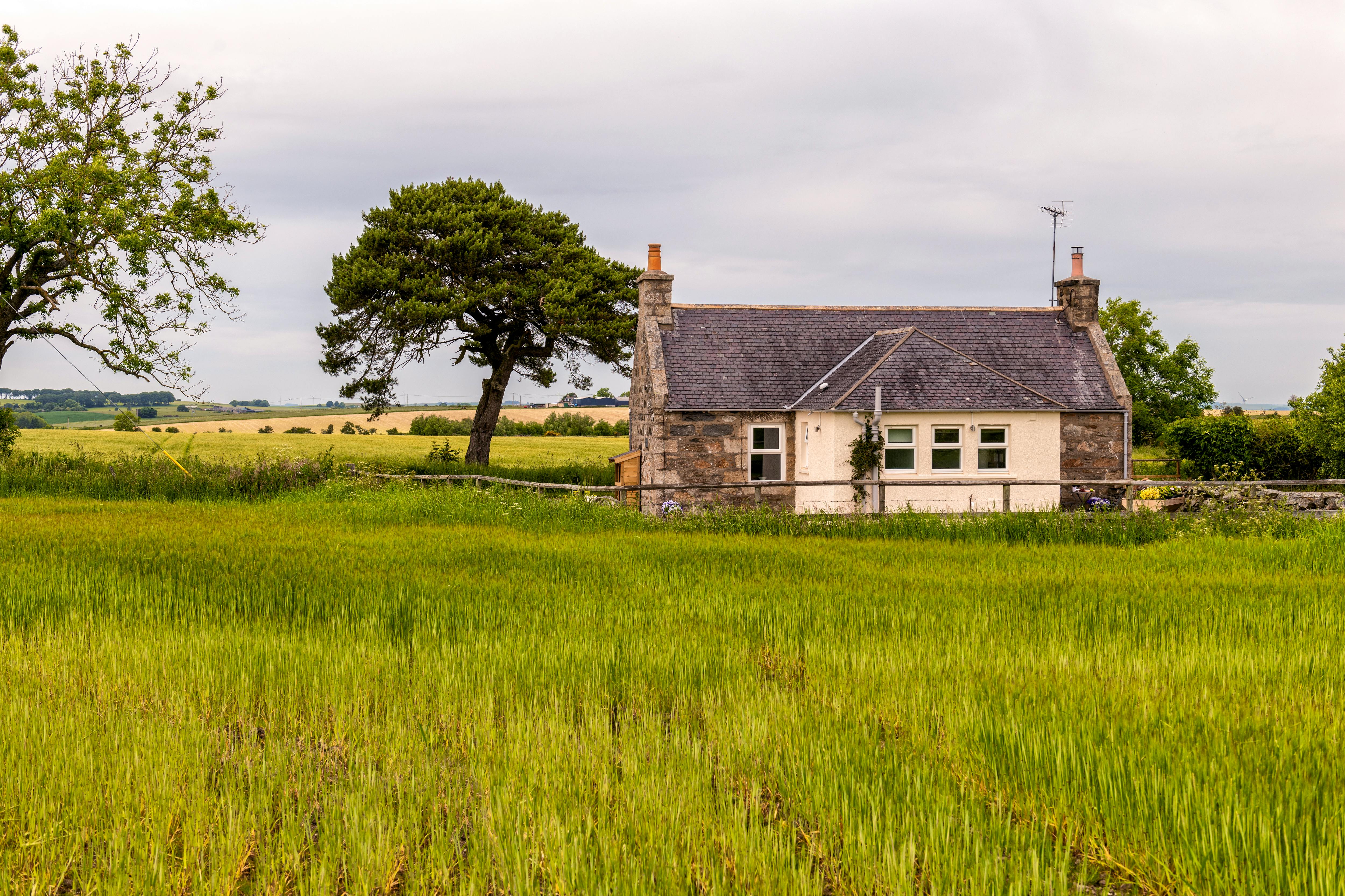 Just Landed - 18 New Staycation Finds